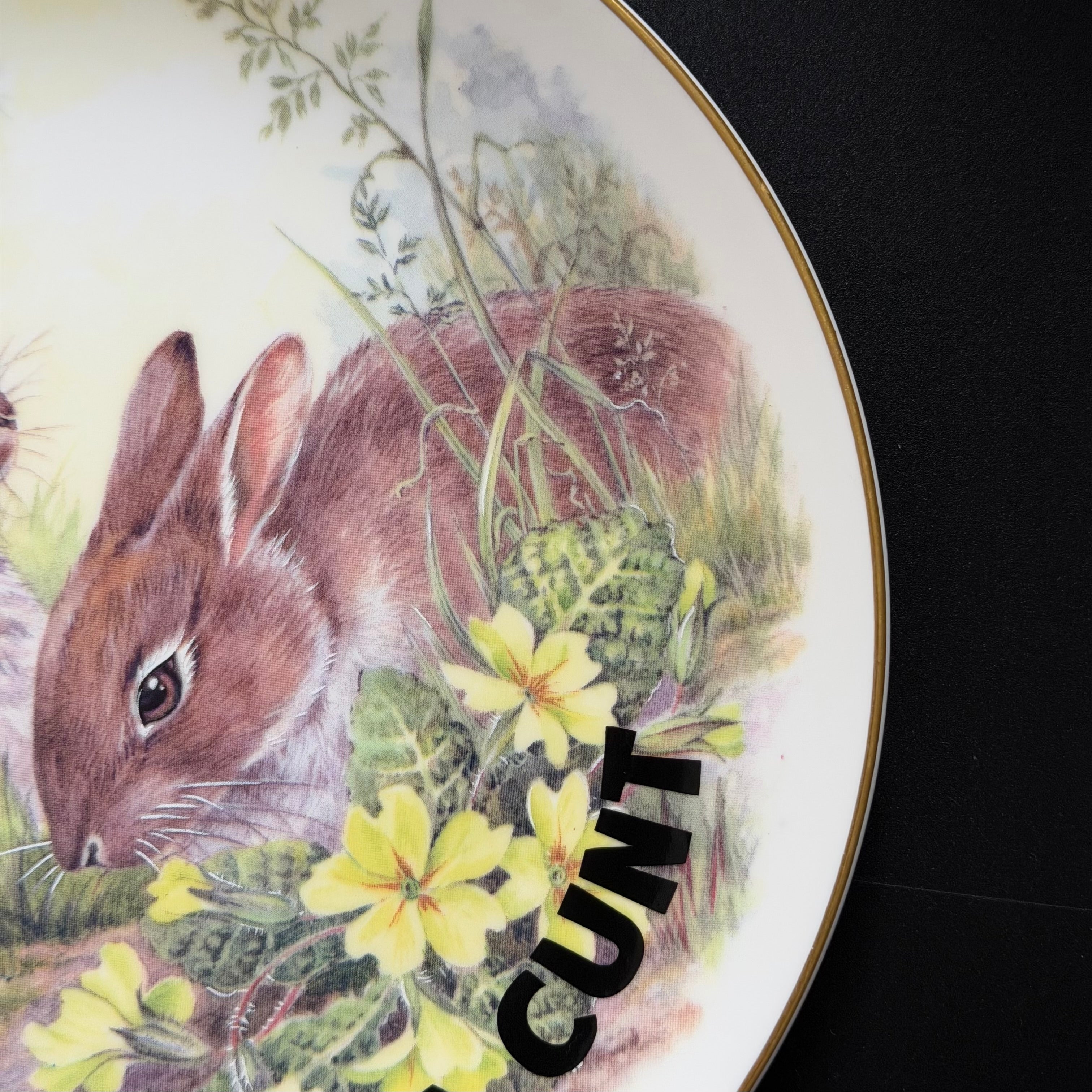 Some Bunny's A Cunt, Hand Decorated Bone China Blue Rabbit Plate, Decorative Gift, Home Decor