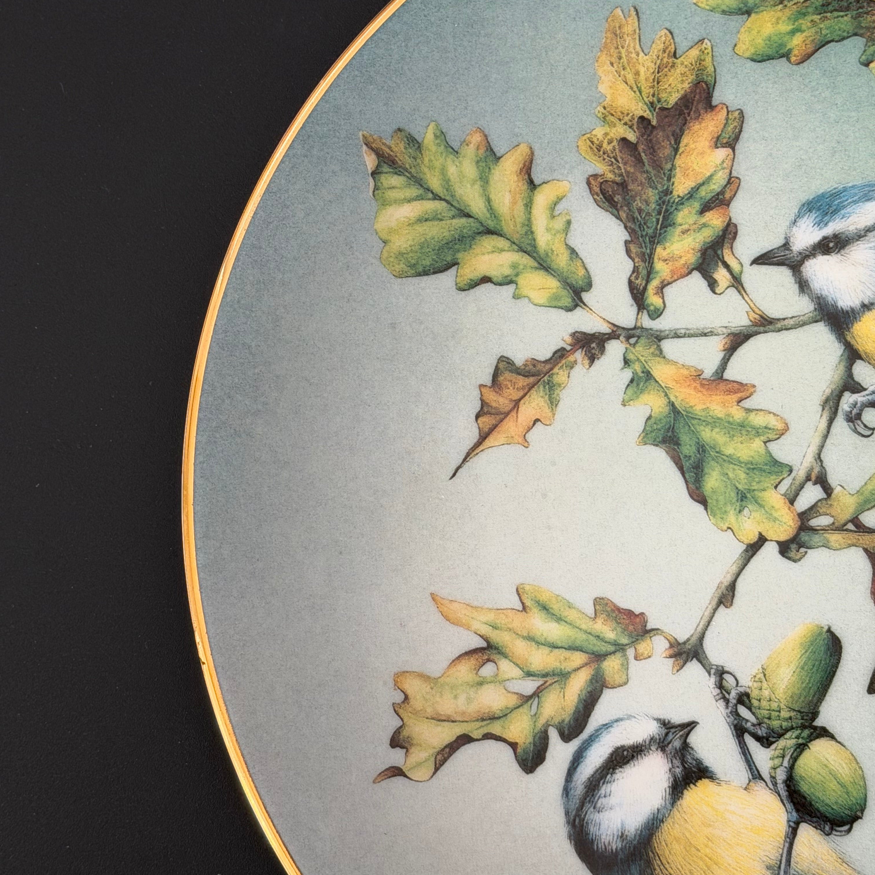 Nice Tits, Hand Decorated Vintage Porcelain Blue Tit Plate, Decorative Gift, Home Decor