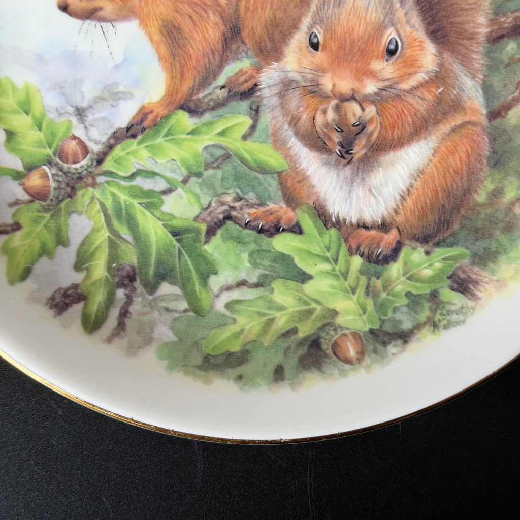 Lovely Bit Of Squirrel, Fine Bone China Wall Plaque, Funny Squirrel Gift, Nicholas John Decorative Plate