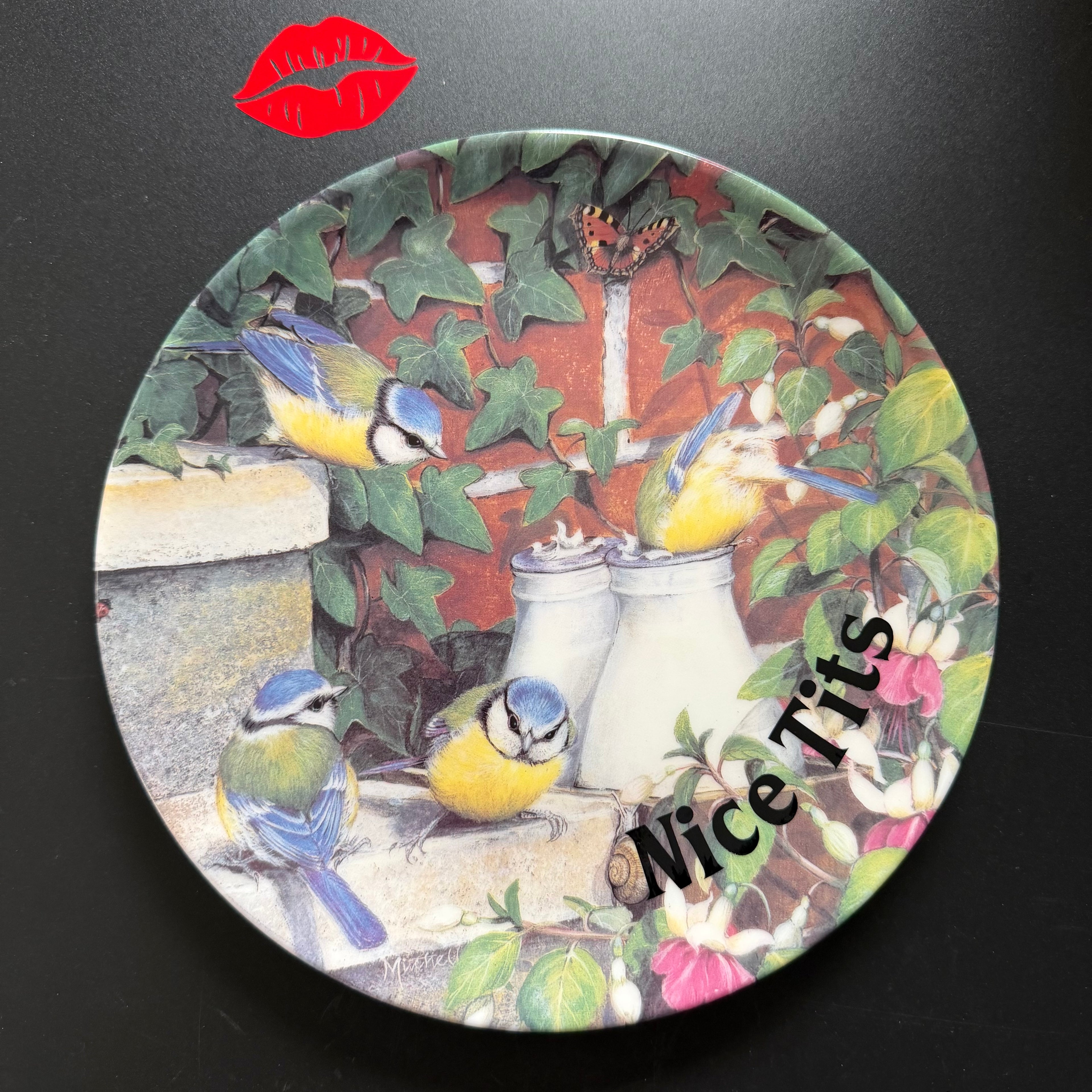 Nice Tits, Hand Decorated Coalport Bone China Blue Tit Plate, Decorative Gift, Home Decor