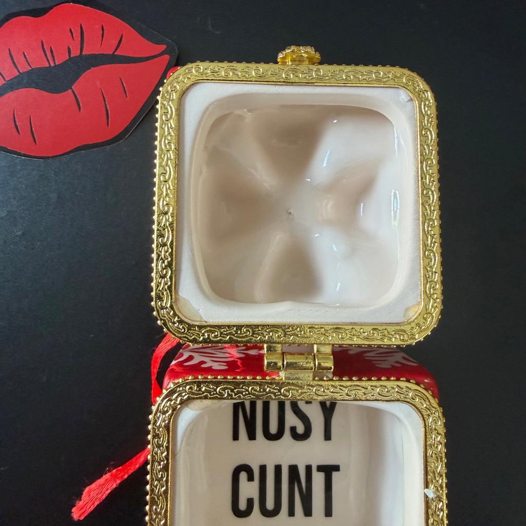 Nosy Cunt Mini Christmas Gift Trinket Box Christmas Tree Decoration