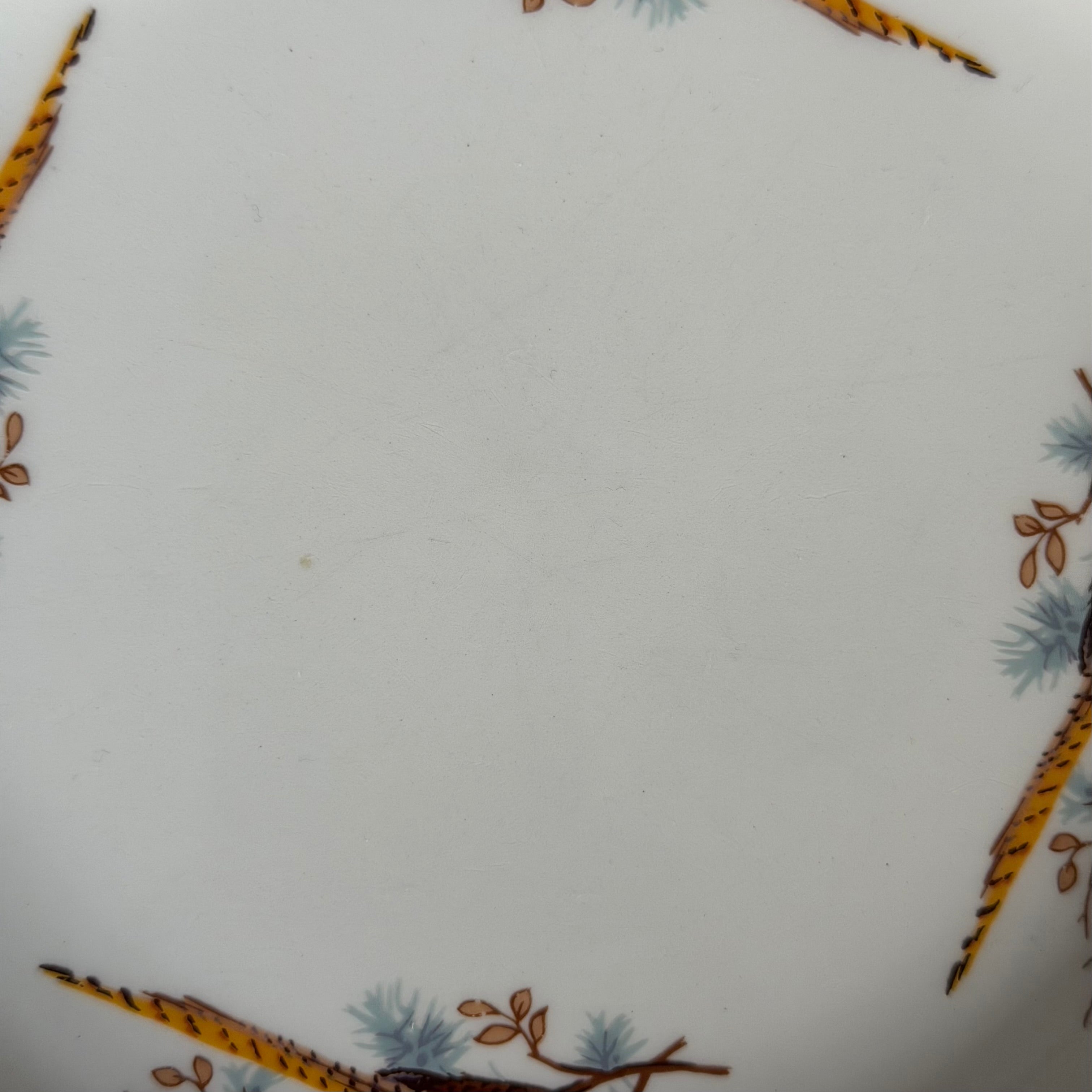 Finest Earthenware Plate, CUSTOMISE YOUR OWN – Vintage & Pre-Loved Pieces