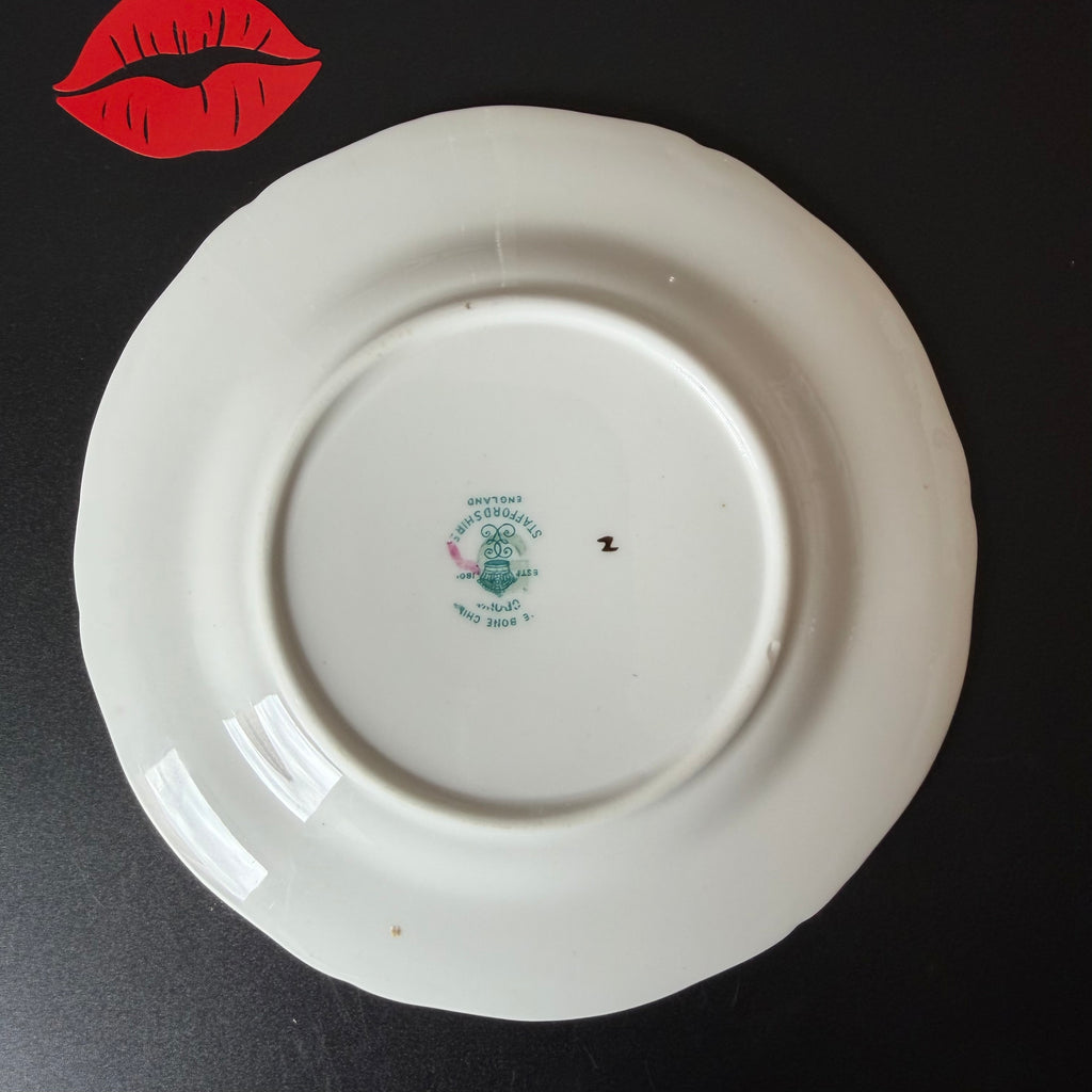 Total Slag, Vintage Staffordshire Fine Bone China Plate, Funny Floral Wall Display Plate