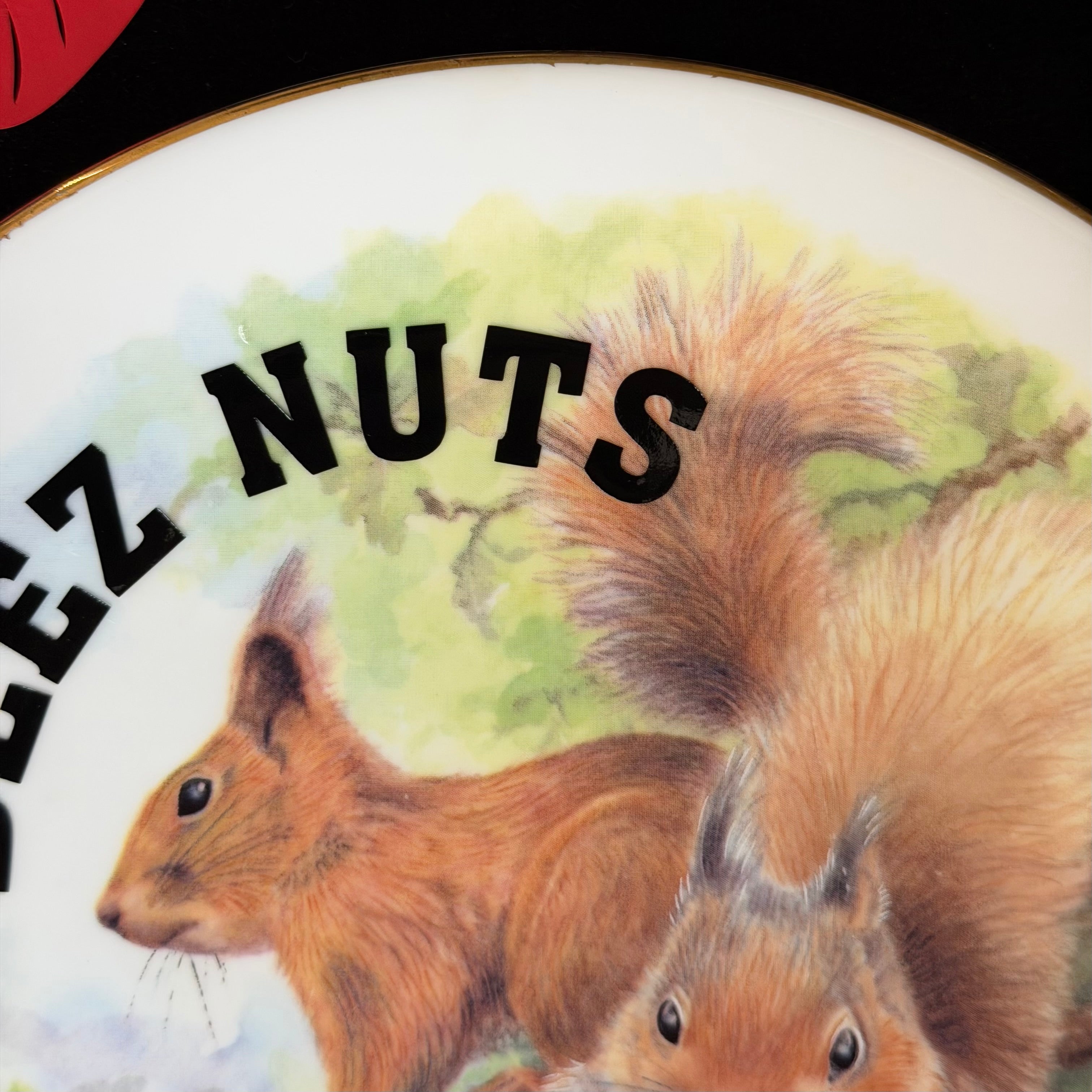 Deez Nuts Squirrel Plate, Funny Rude Decor, Cheeky Gift Idea, Woodland Humour, Statement Home Decor, Sassy Swears