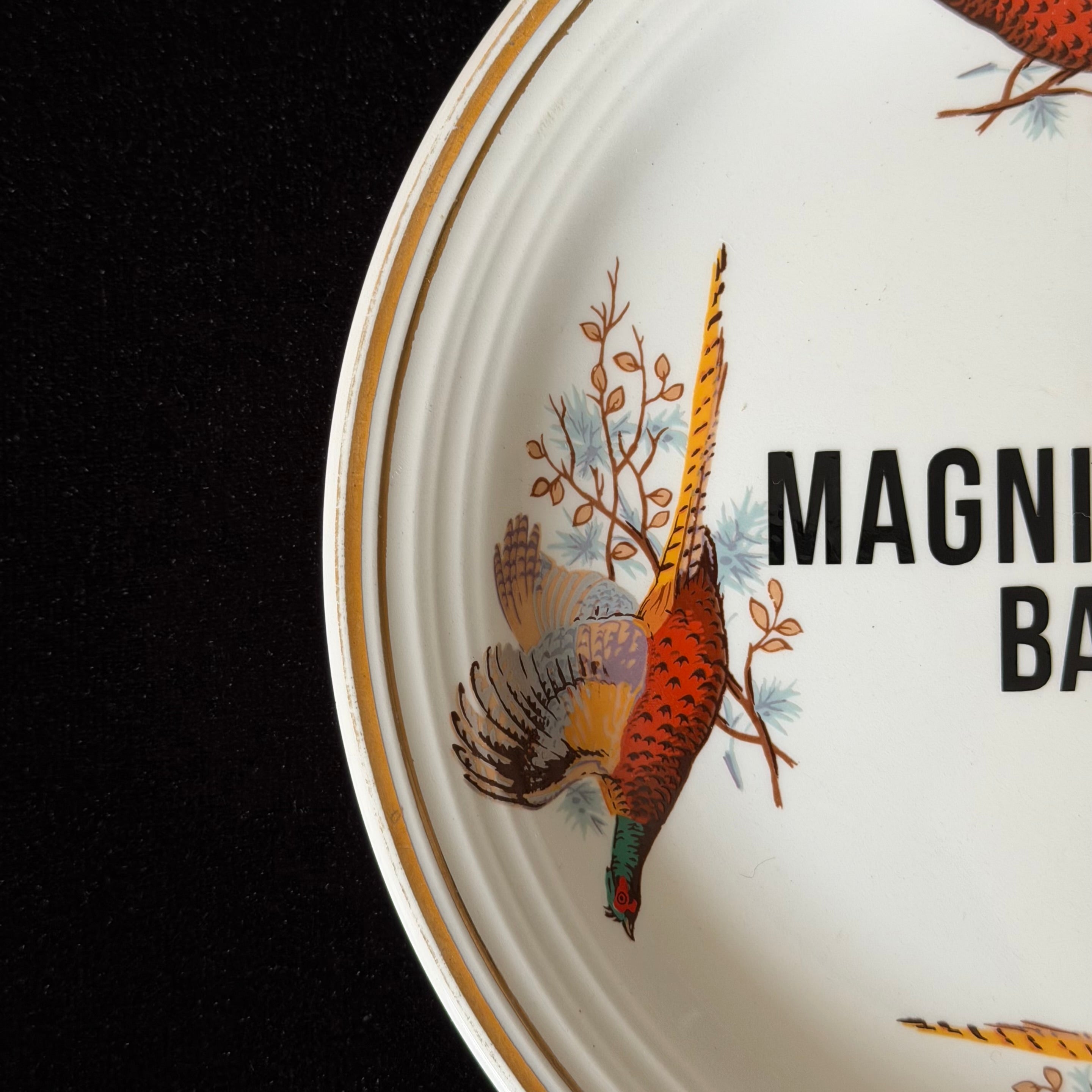 Magnipheasant Bastard, Pheasant Plate, Funny Rude Decor, Funny Wordplay Gift Idea, Countryside Humour, Statement Home Decor, Sassy Swears