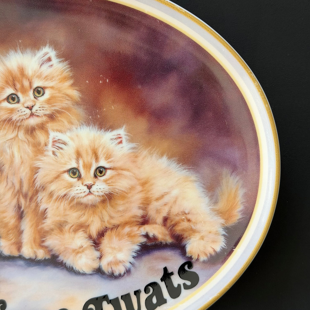 Cats before Twats Vintage 1998 Cat Plate