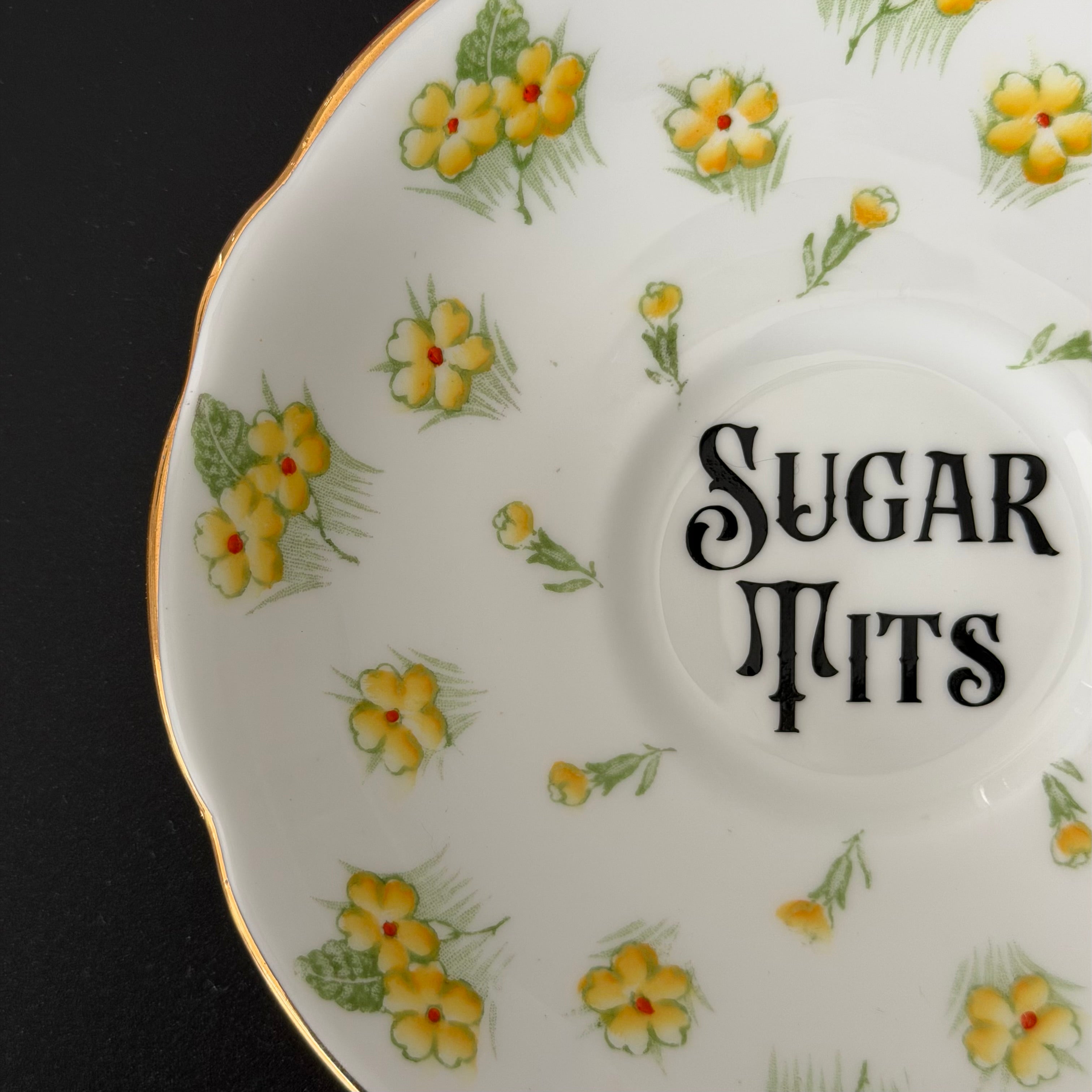 Vintage Bone China Plate, Sugar Tits, Black Vinyl, Floral Plate
