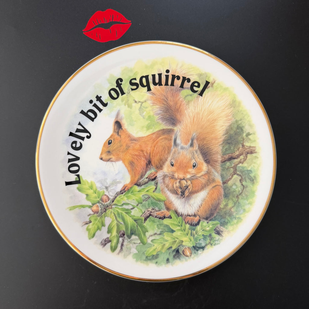 Lovely Bit Of Squirrel, Fine Bone China Wall Plaque, Funny Squirrel Gift, Nicholas John Decorative Plate