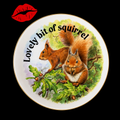 Lovely Bit Of Squirrel, Fine Bone China Wall Plaque, Funny Squirrel Gift, Nicholas John Decorative Plate