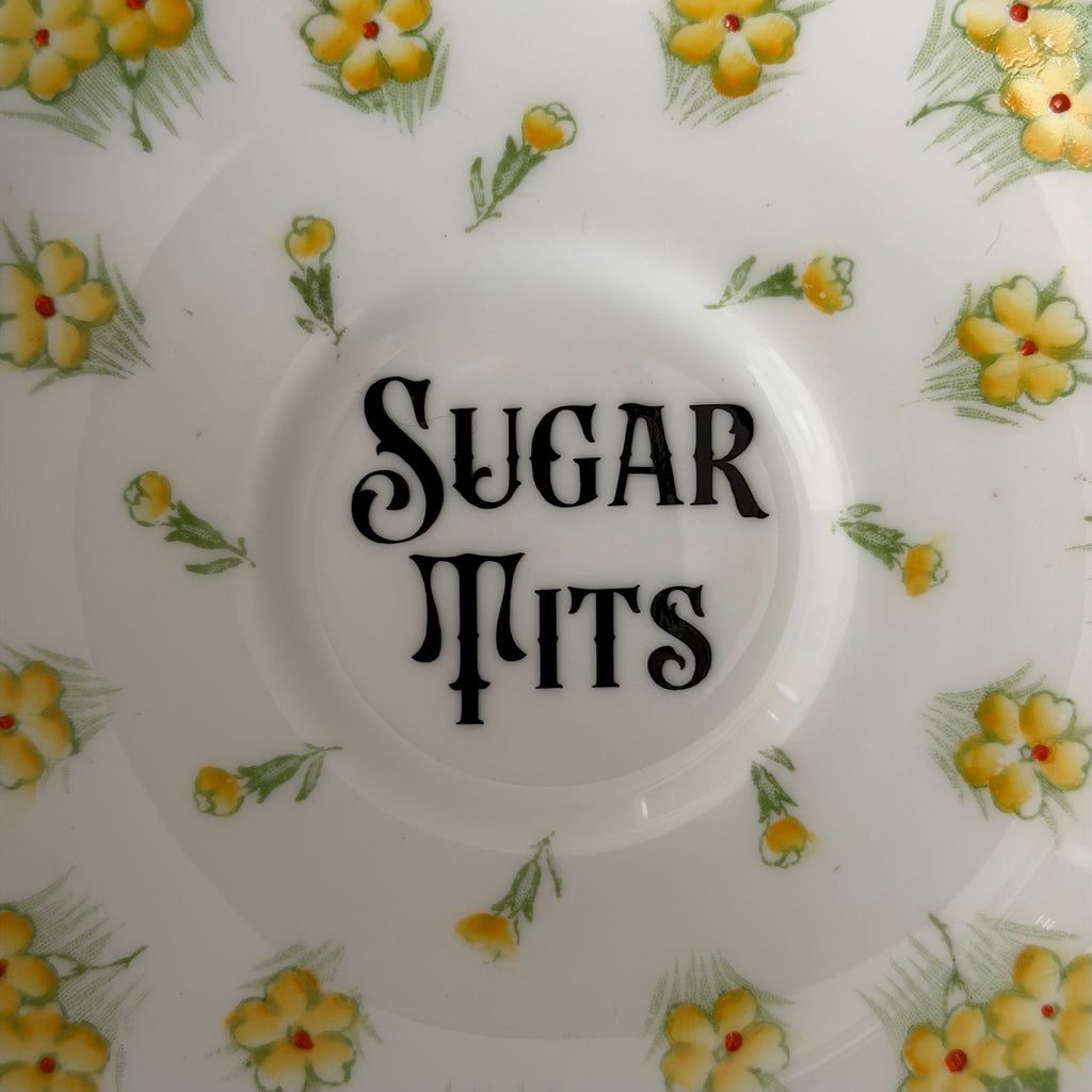 Vintage Bone China Plate, Sugar Tits, Black Vinyl, Floral Plate