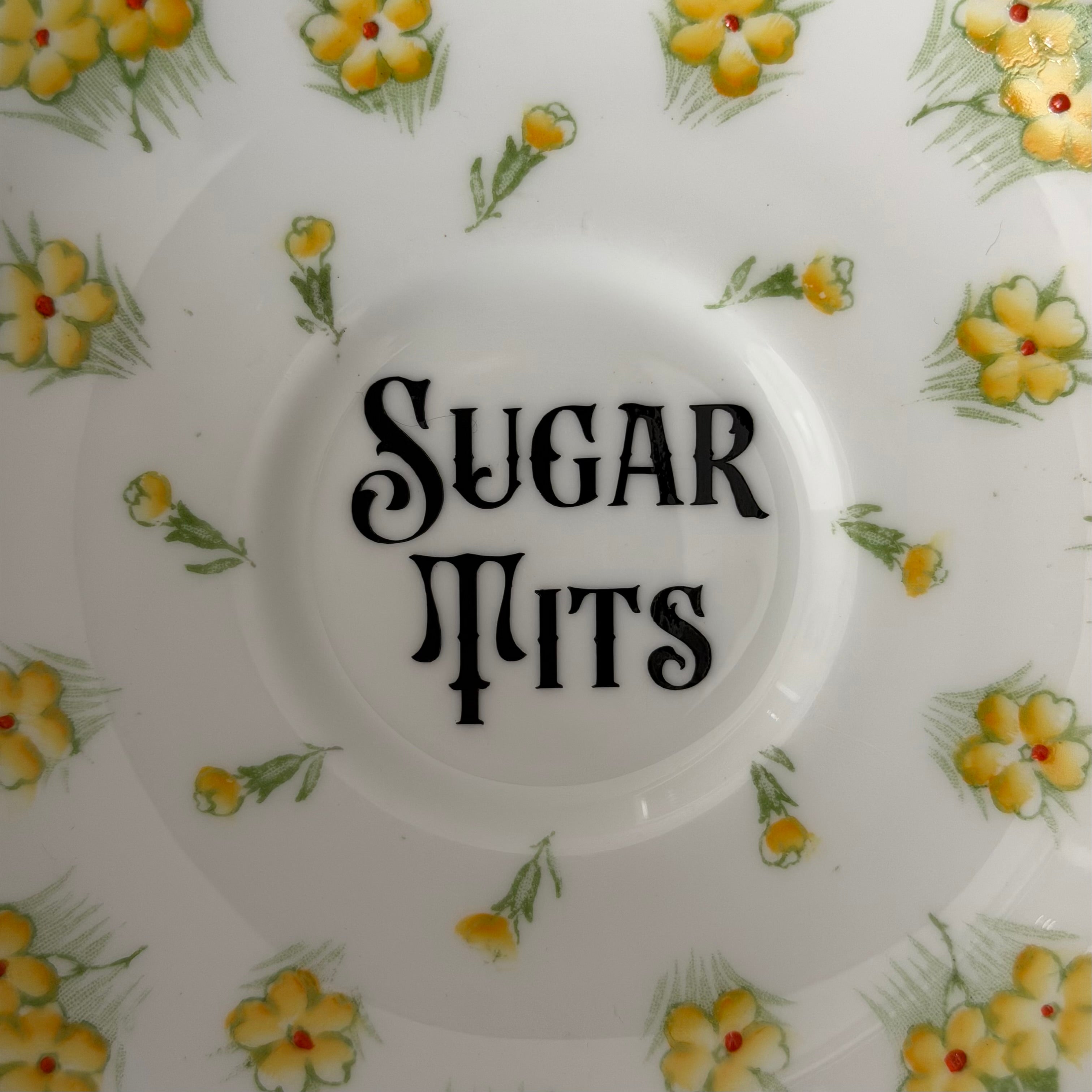 Vintage Bone China Plate, Sugar Tits, Black Vinyl, Floral Plate