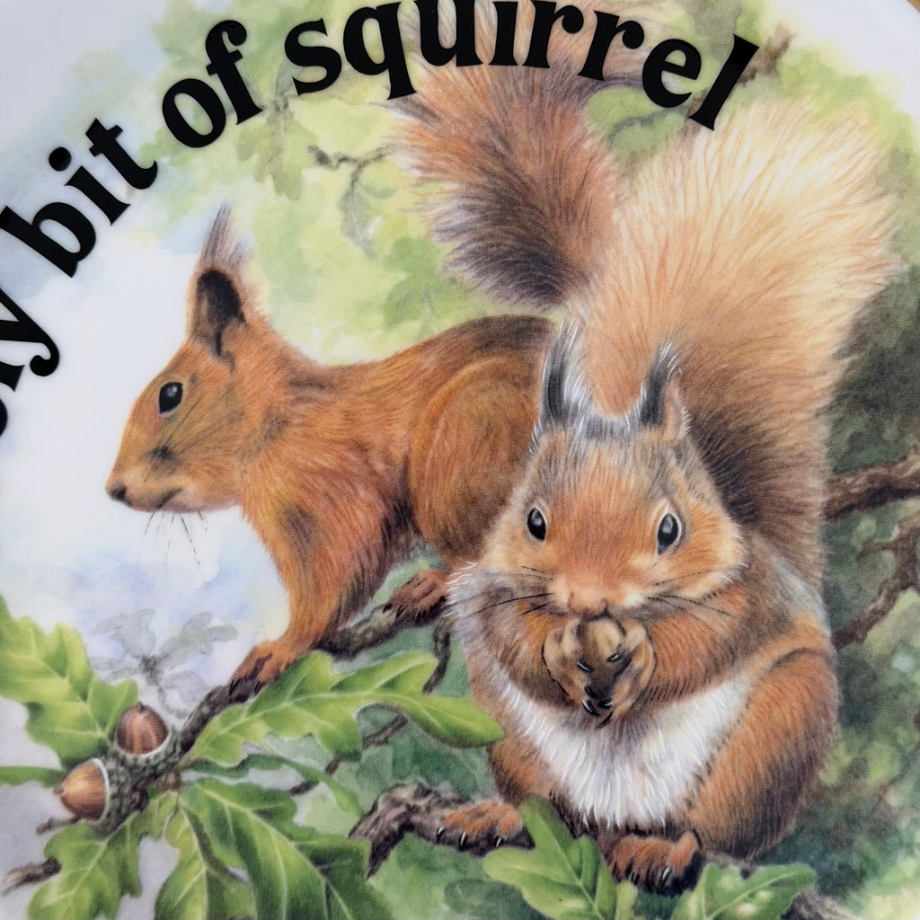 Lovely Bit Of Squirrel, Fine Bone China Wall Plaque, Funny Squirrel Gift, Nicholas John Decorative Plate