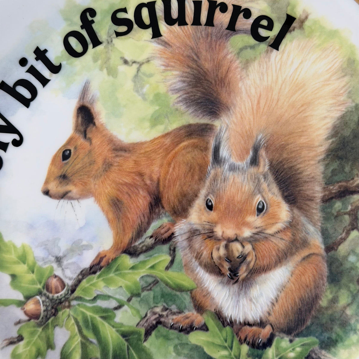 Lovely Bit Of Squirrel, Fine Bone China Wall Plaque, Funny Squirrel Gift, Nicholas John Decorative Plate