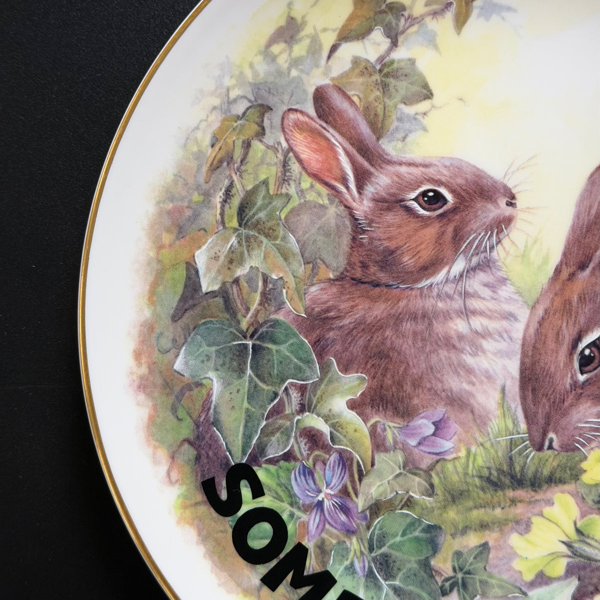 Some Bunny's A Cunt, Hand Decorated Bone China Blue Rabbit Plate, Decorative Gift, Home Decor