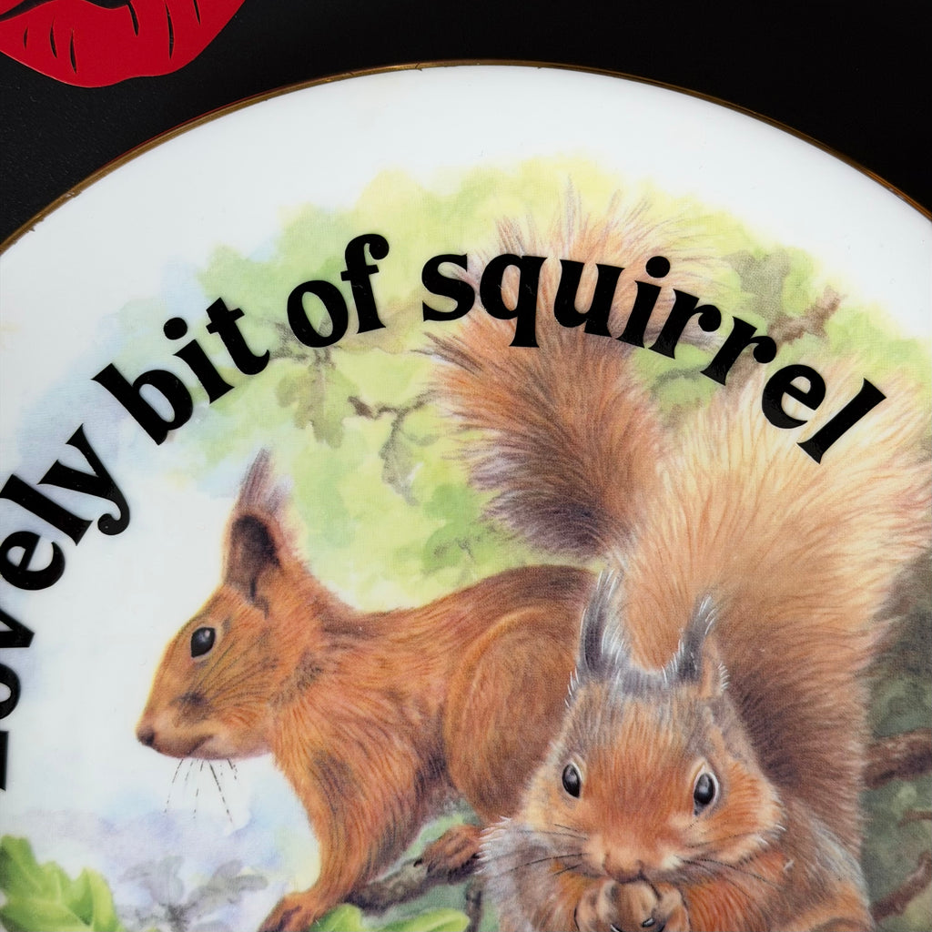 Lovely Bit Of Squirrel, Fine Bone China Wall Plaque, Funny Squirrel Gift, Nicholas John Decorative Plate