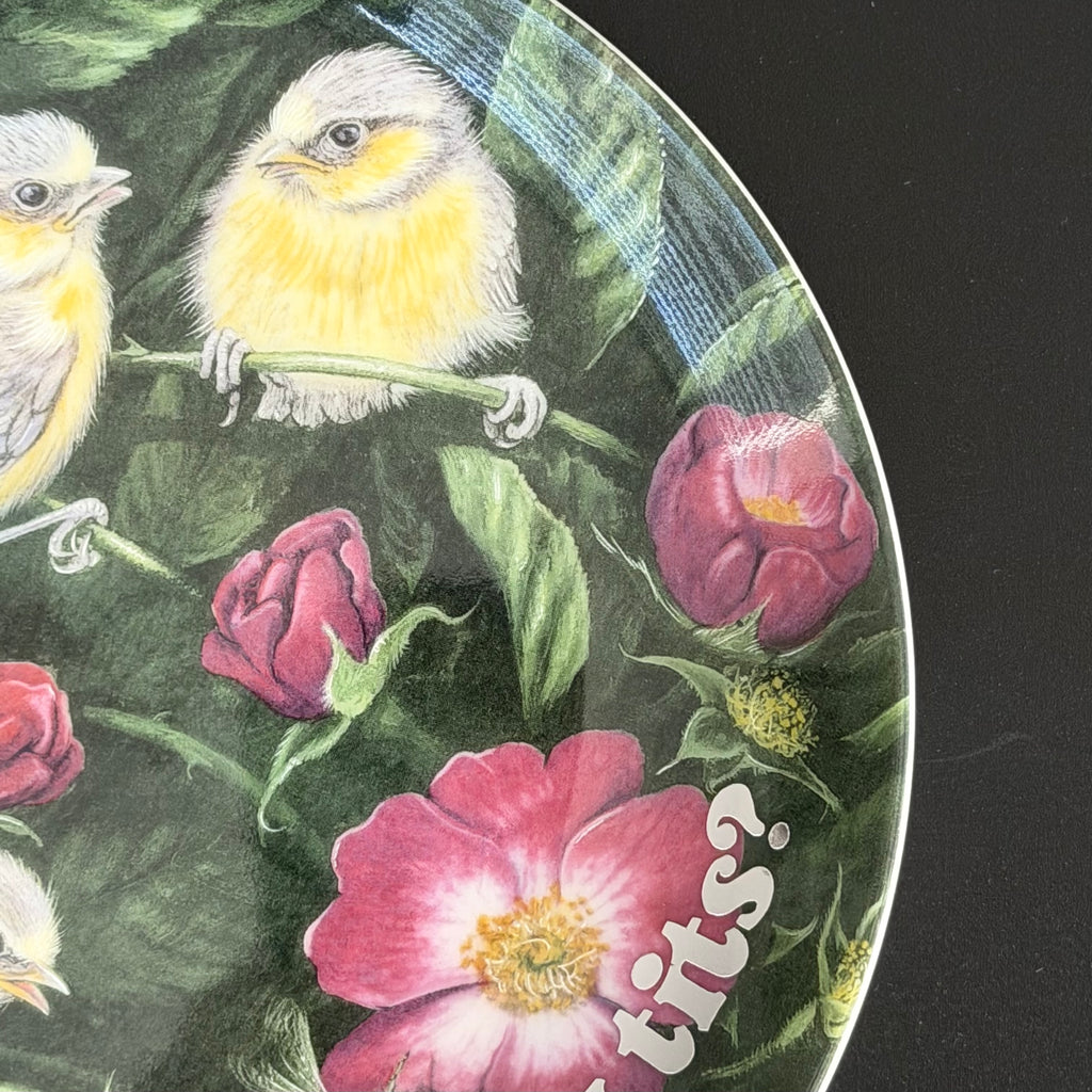 Vintage Wedgwood Blue Tits Plate, Are You Looking At My Tits? Cheeky Bird Plate