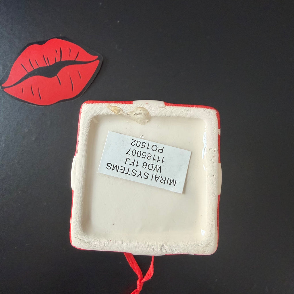 Nosy Cunt Mini Christmas Gift Trinket Box Christmas Tree Decoration