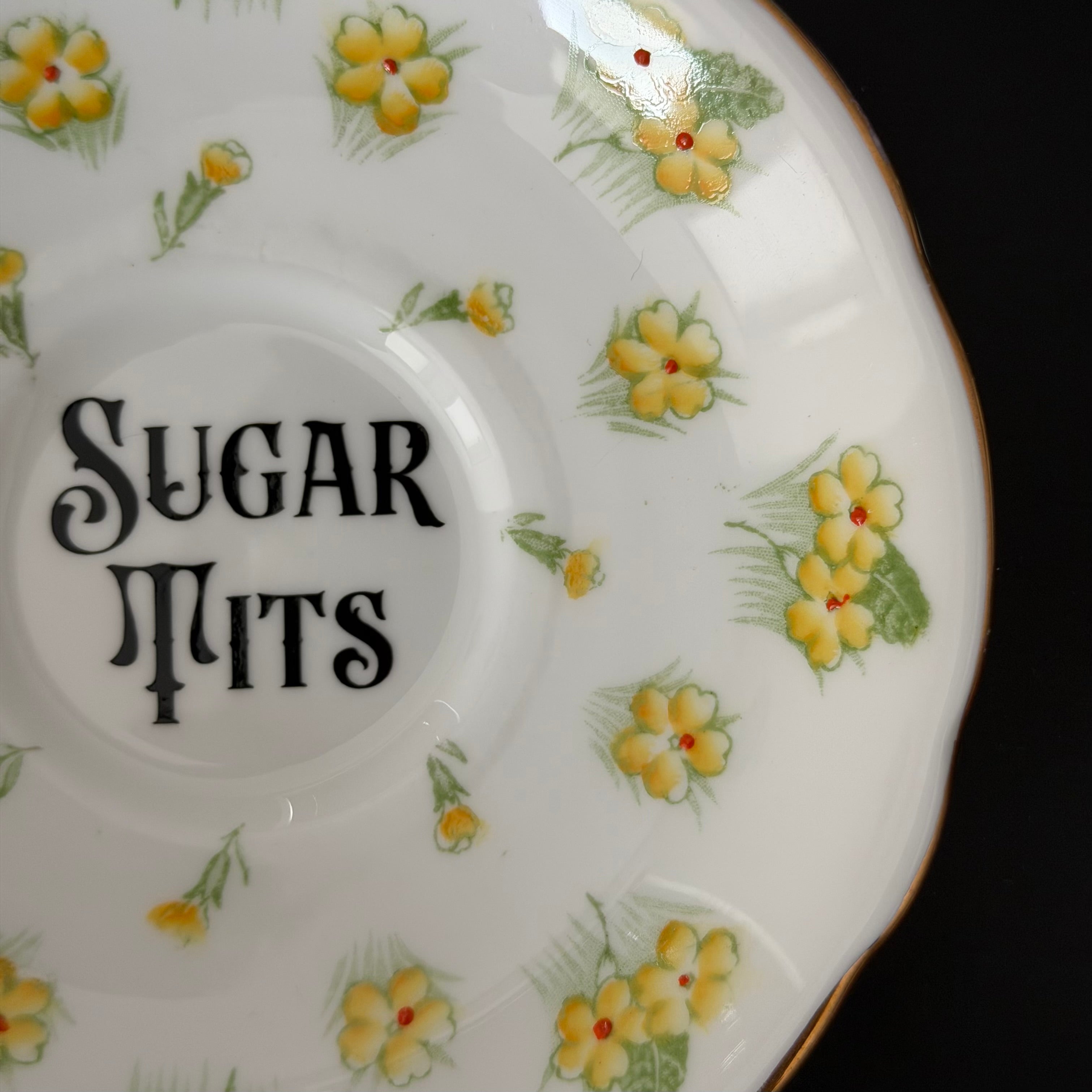 Vintage Bone China Plate, Sugar Tits, Black Vinyl, Floral Plate