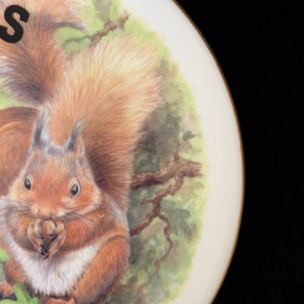 Deez Nuts Squirrel Plate, Funny Rude Decor, Cheeky Gift Idea, Woodland Humour, Statement Home Decor, Sassy Swears
