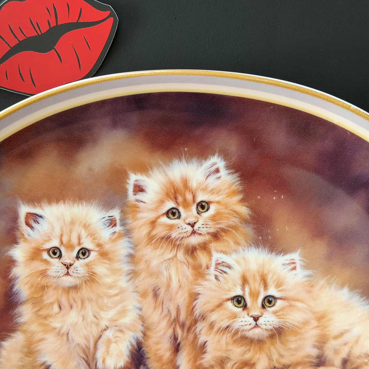 Cats before Twats Vintage 1998 Cat Plate