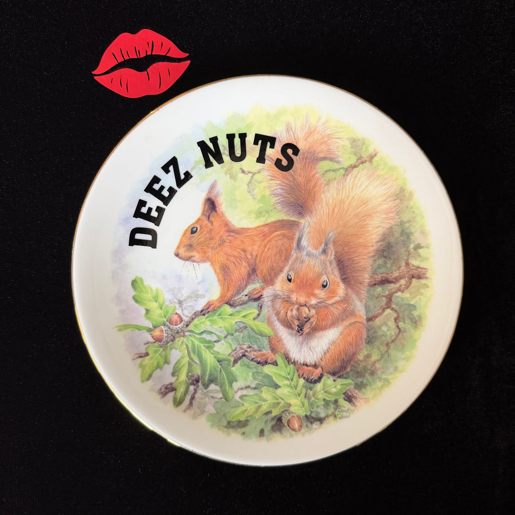 Deez Nuts Squirrel Plate, Funny Rude Decor, Cheeky Gift Idea, Woodland Humour, Statement Home Decor, Sassy Swears