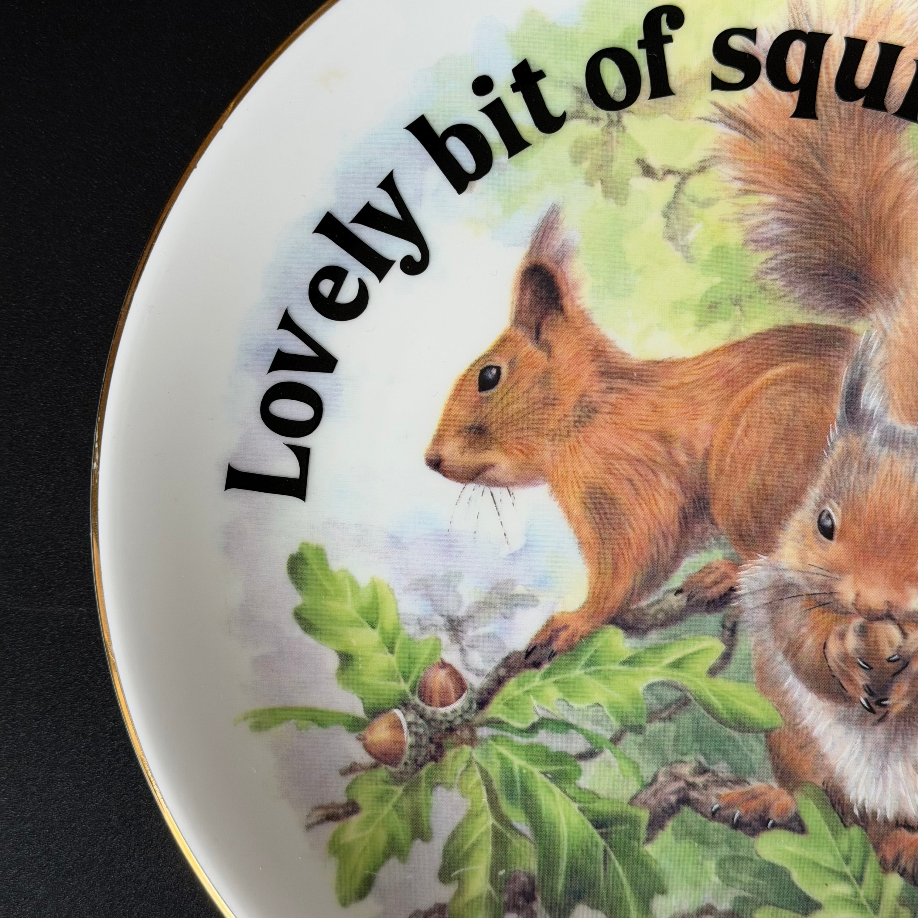 Lovely Bit Of Squirrel, Fine Bone China Wall Plaque, Funny Squirrel Gift, Nicholas John Decorative Plate