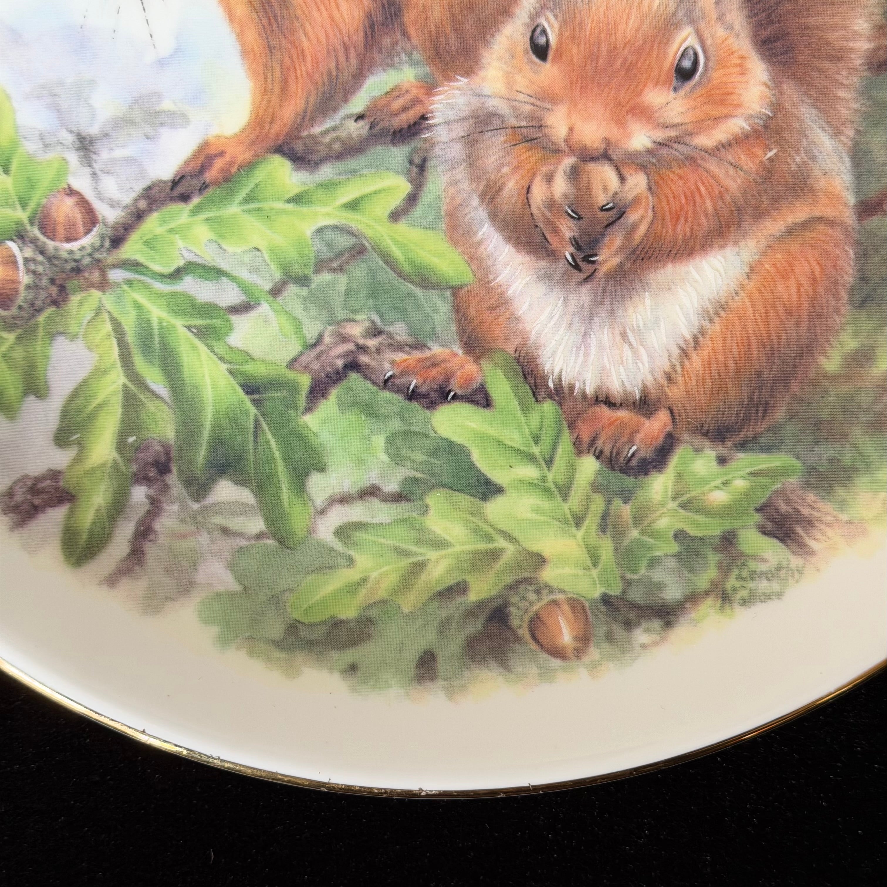 Deez Nuts Squirrel Plate, Funny Rude Decor, Cheeky Gift Idea, Woodland Humour, Statement Home Decor, Sassy Swears