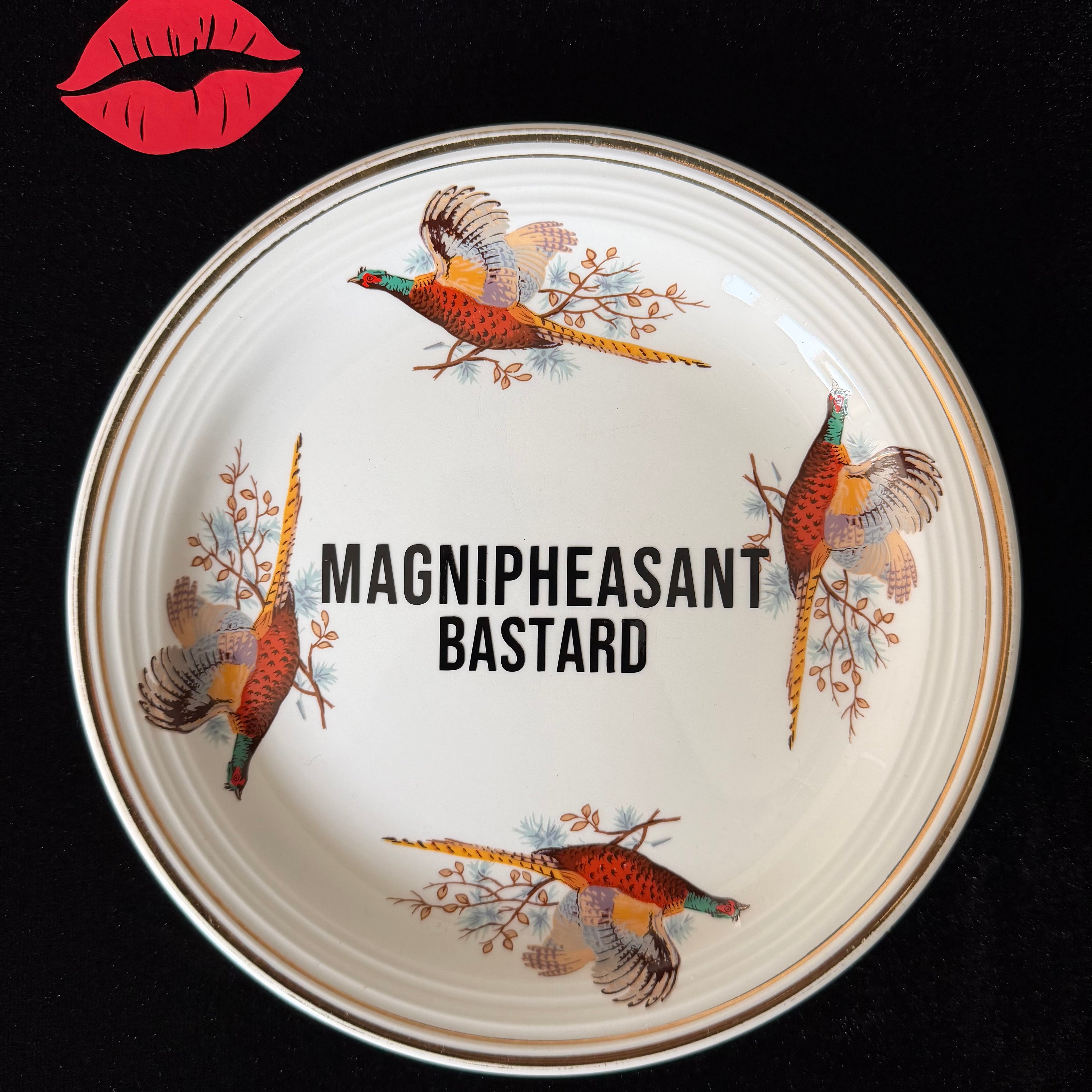 Magnipheasant Bastard, Pheasant Plate, Funny Rude Decor, Funny Wordplay Gift Idea, Countryside Humour, Statement Home Decor, Sassy Swears