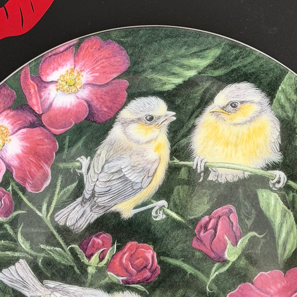 Vintage Wedgwood Blue Tits Plate, Are You Looking At My Tits? Cheeky Bird Plate