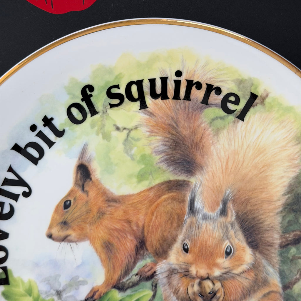 Lovely Bit Of Squirrel, Fine Bone China Wall Plaque, Funny Squirrel Gift, Nicholas John Decorative Plate
