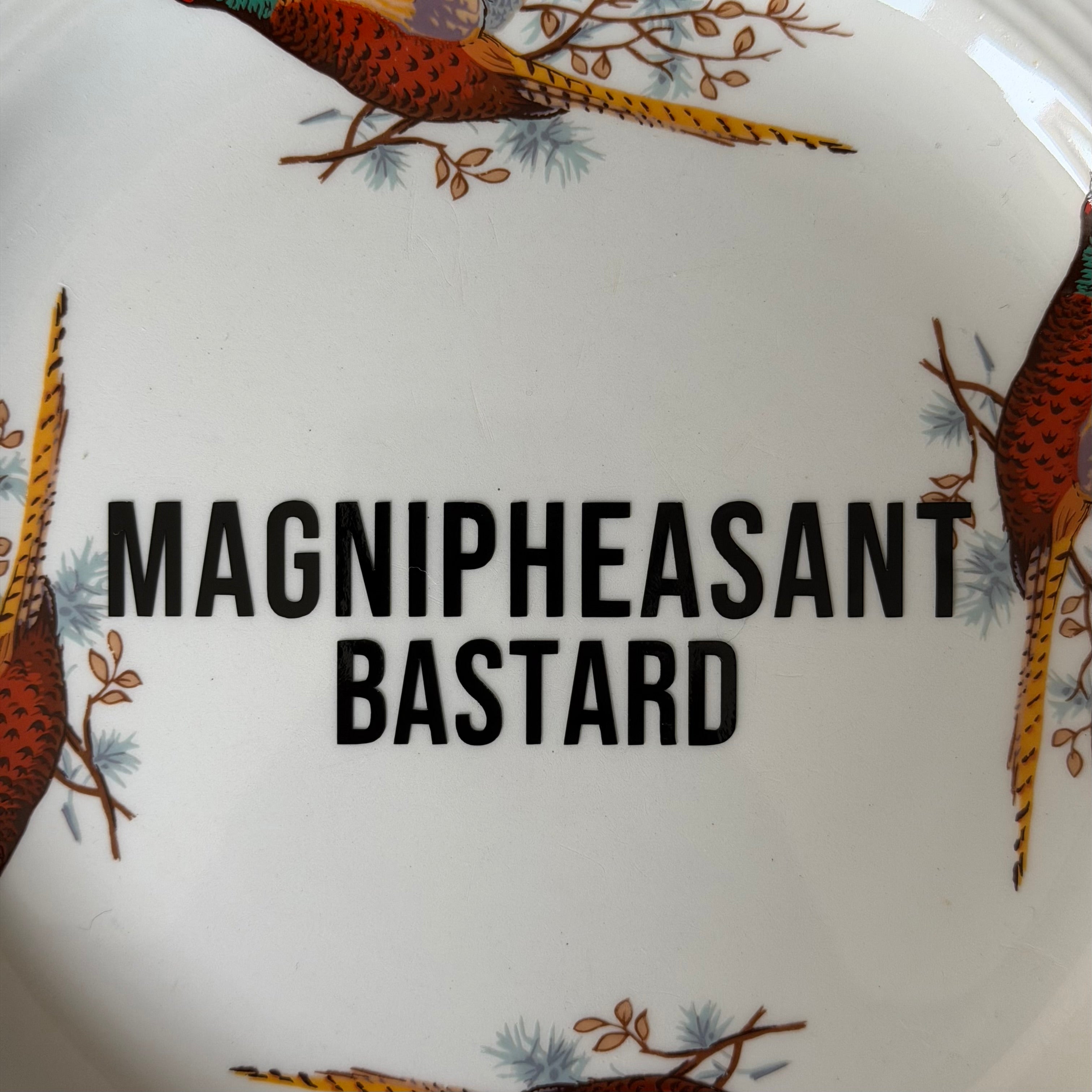 Magnipheasant Bastard, Pheasant Plate, Funny Rude Decor, Funny Wordplay Gift Idea, Countryside Humour, Statement Home Decor, Sassy Swears