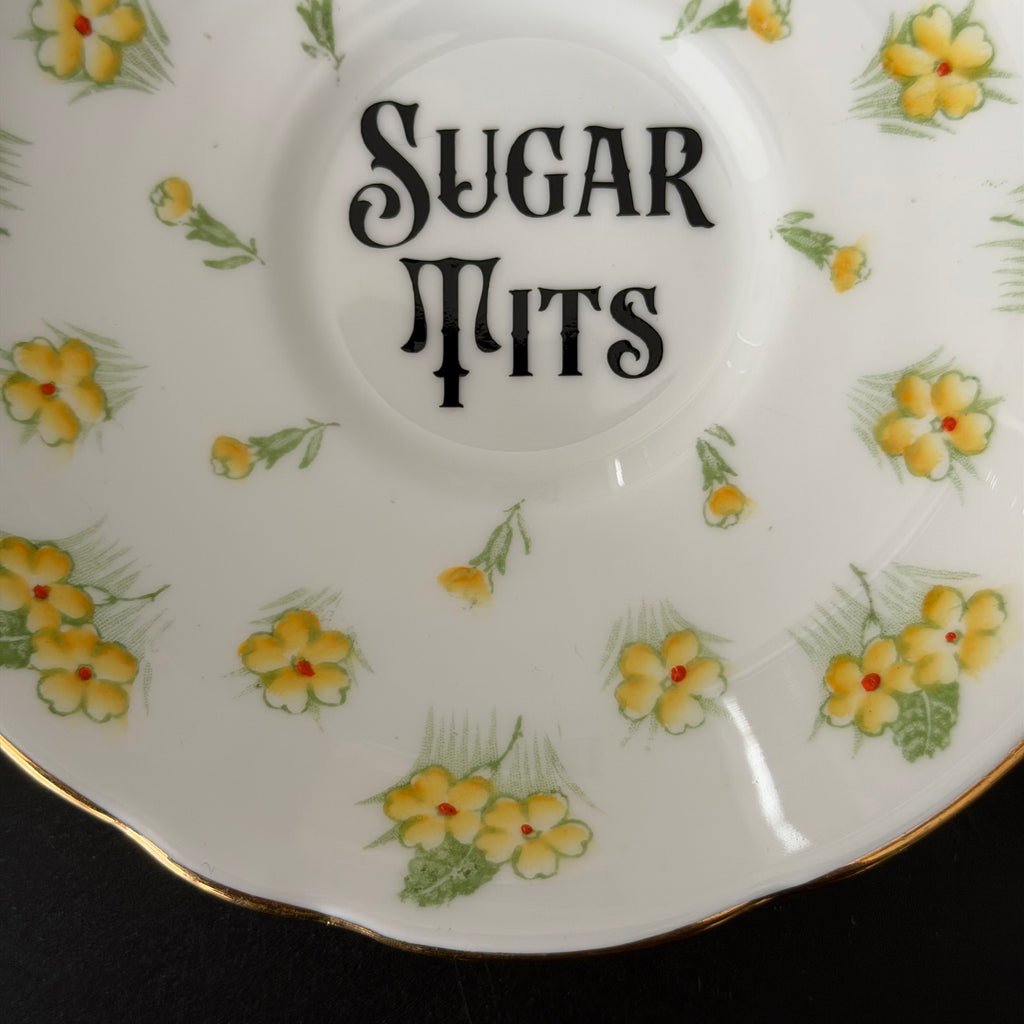Vintage Bone China Plate, Sugar Tits, Black Vinyl, Floral Plate