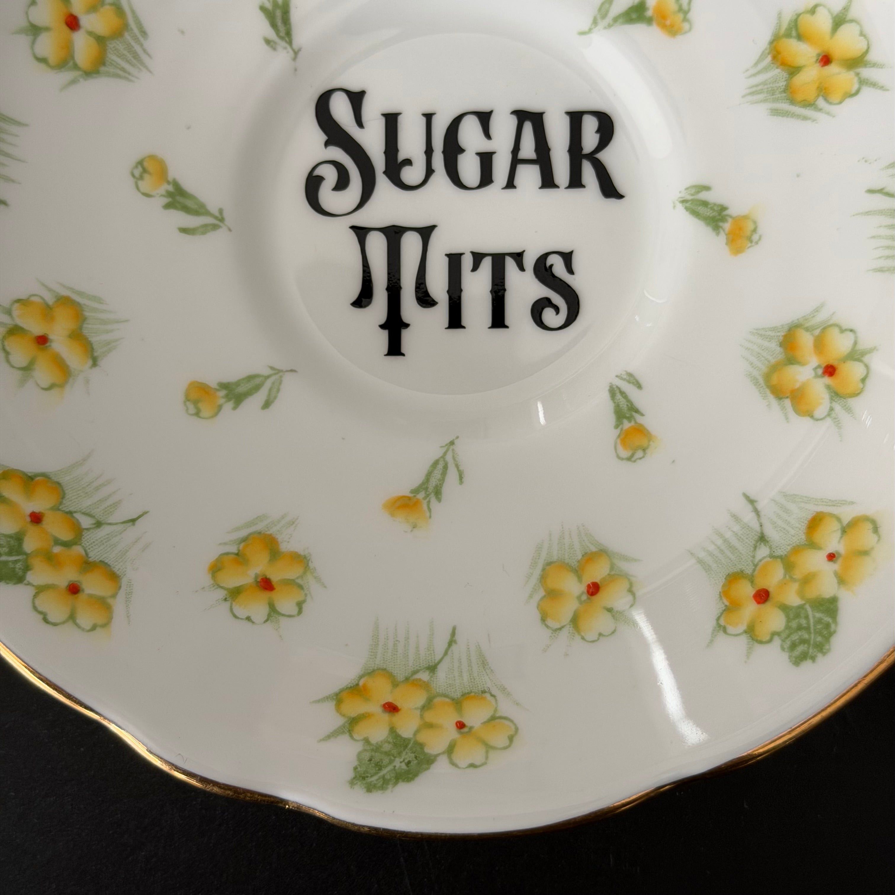 Vintage Bone China Plate, Sugar Tits, Black Vinyl, Floral Plate
