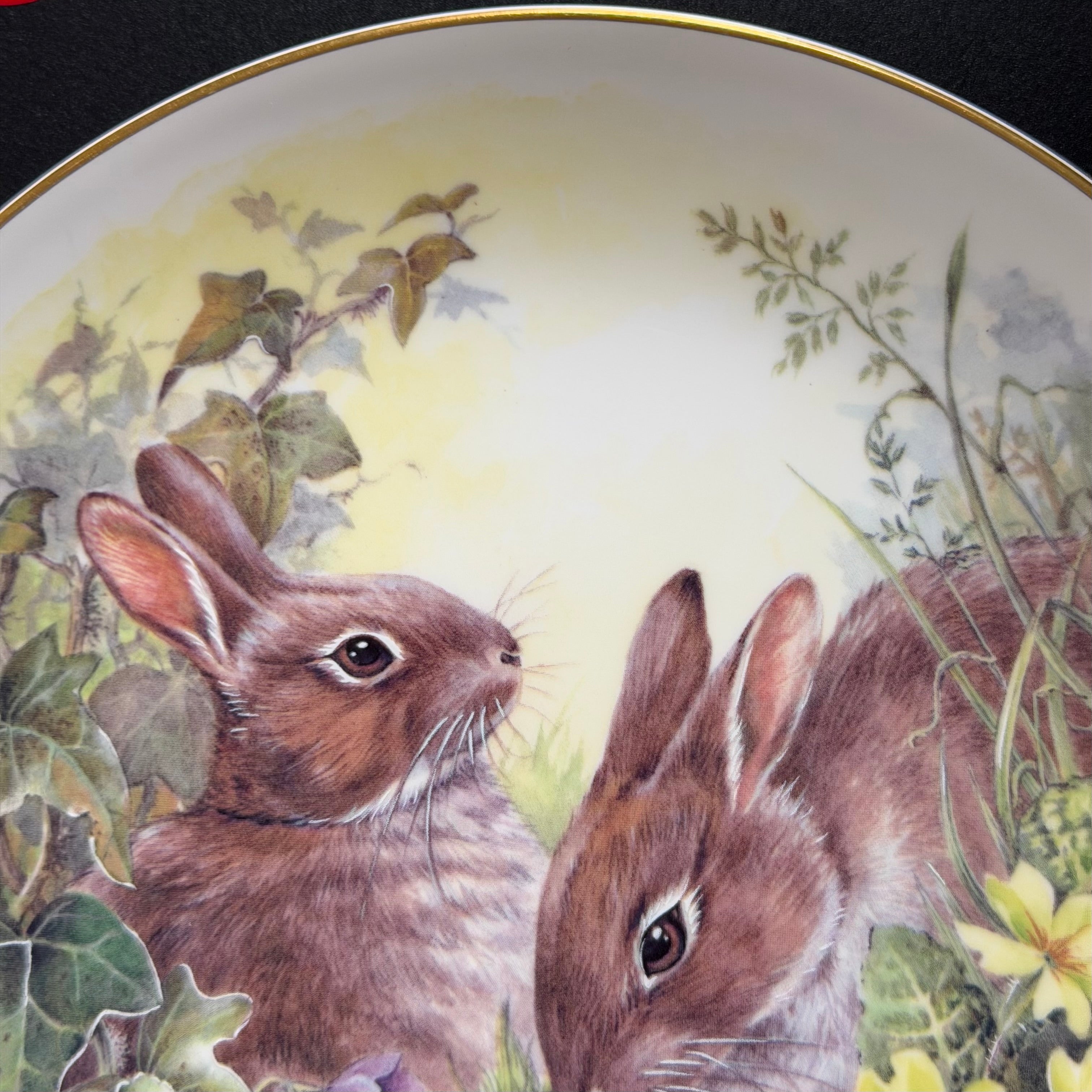 Some Bunny's A Cunt, Hand Decorated Bone China Blue Rabbit Plate, Decorative Gift, Home Decor