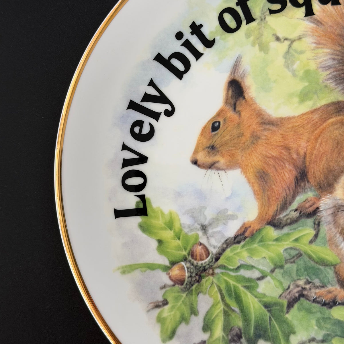 Lovely Bit Of Squirrel, Fine Bone China Wall Plaque, Funny Squirrel Gift, Nicholas John Decorative Plate