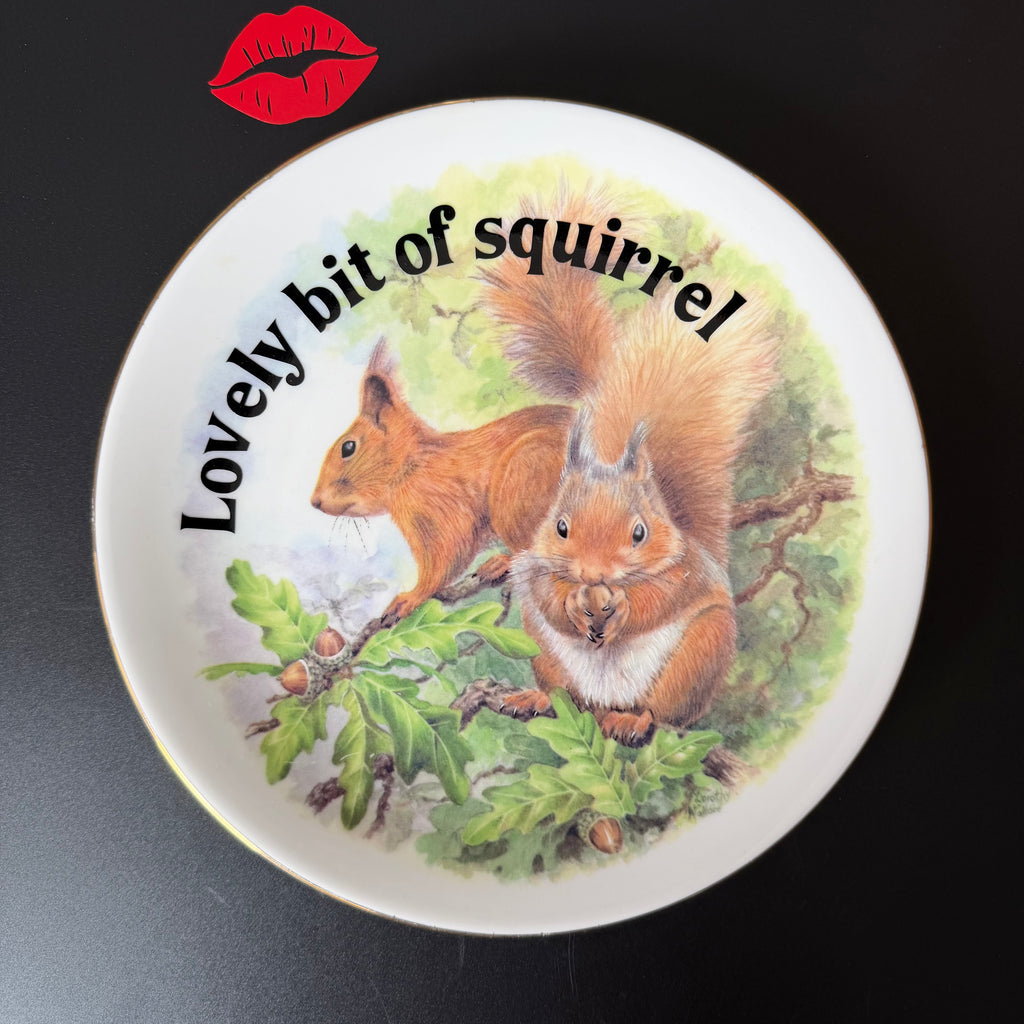 Lovely Bit Of Squirrel, Fine Bone China Wall Plaque, Funny Squirrel Gift, Nicholas John Decorative Plate