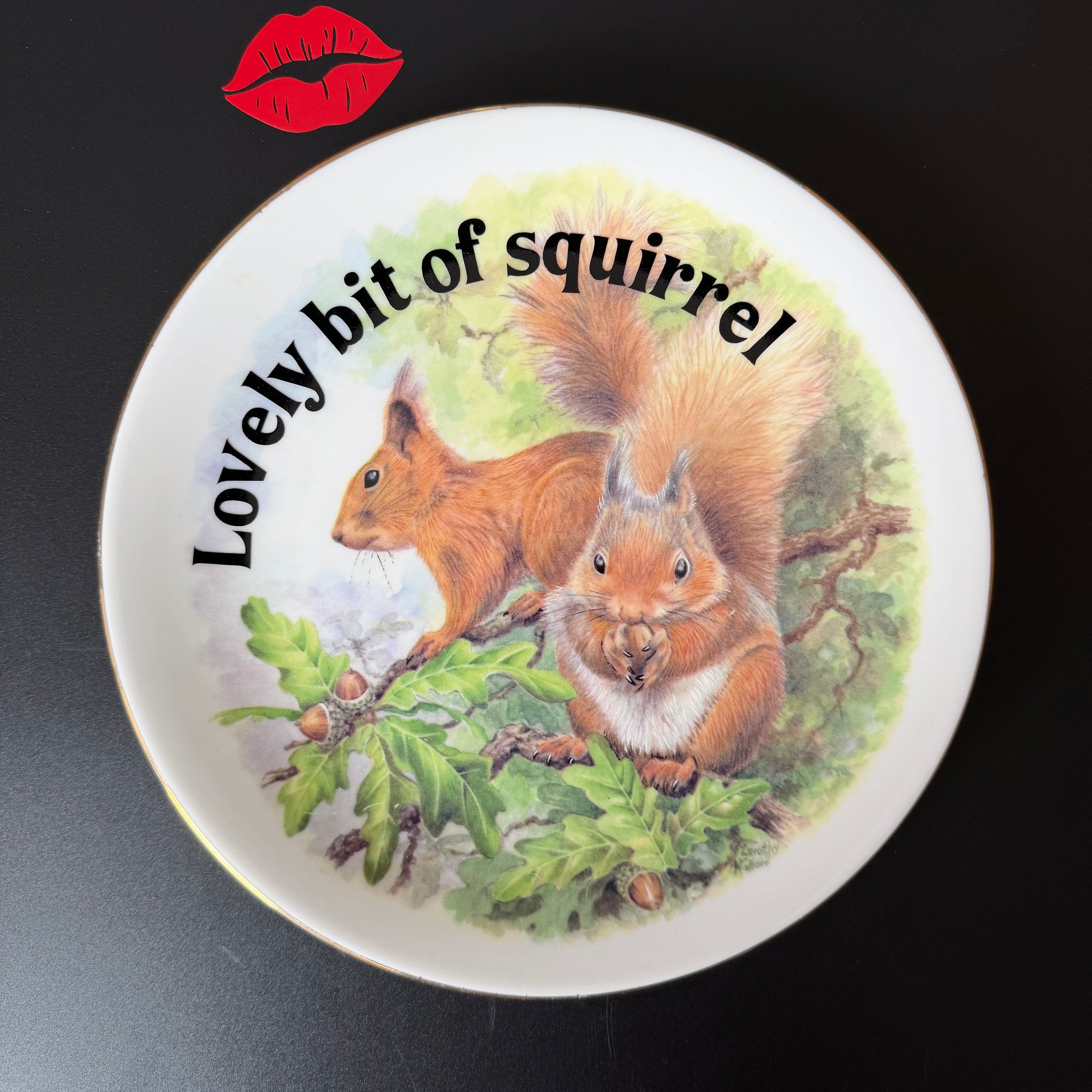 Lovely Bit Of Squirrel, Fine Bone China Wall Plaque, Funny Squirrel Gift, Nicholas John Decorative Plate