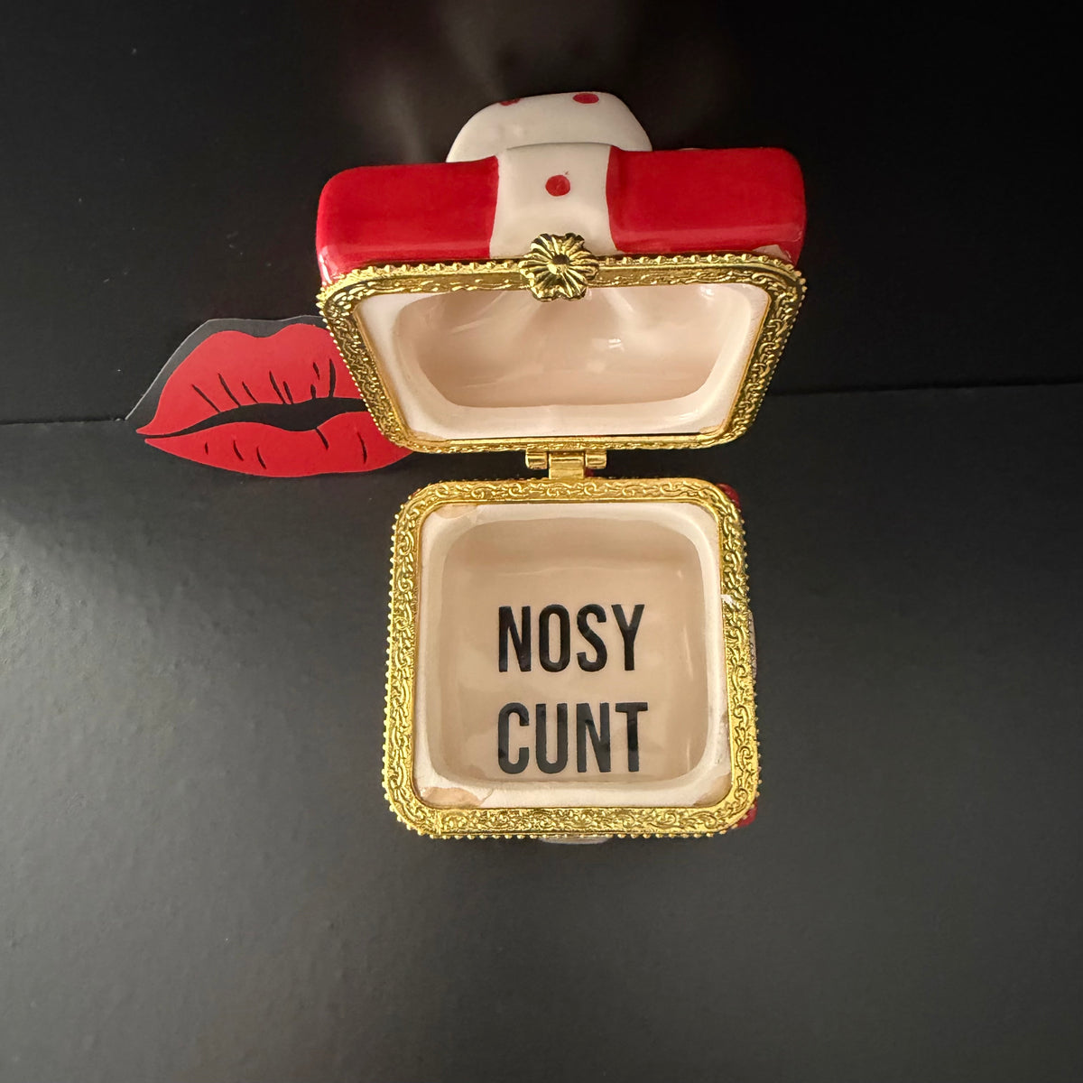 Nosy Cunt Mini Christmas Gift Trinket Box Christmas Tree Decoration