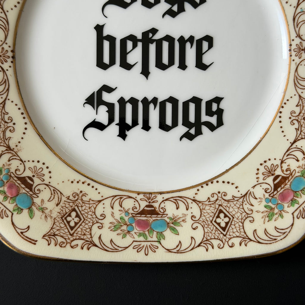 Dogs Before Sprogs, Vintage Roslyn China Plate