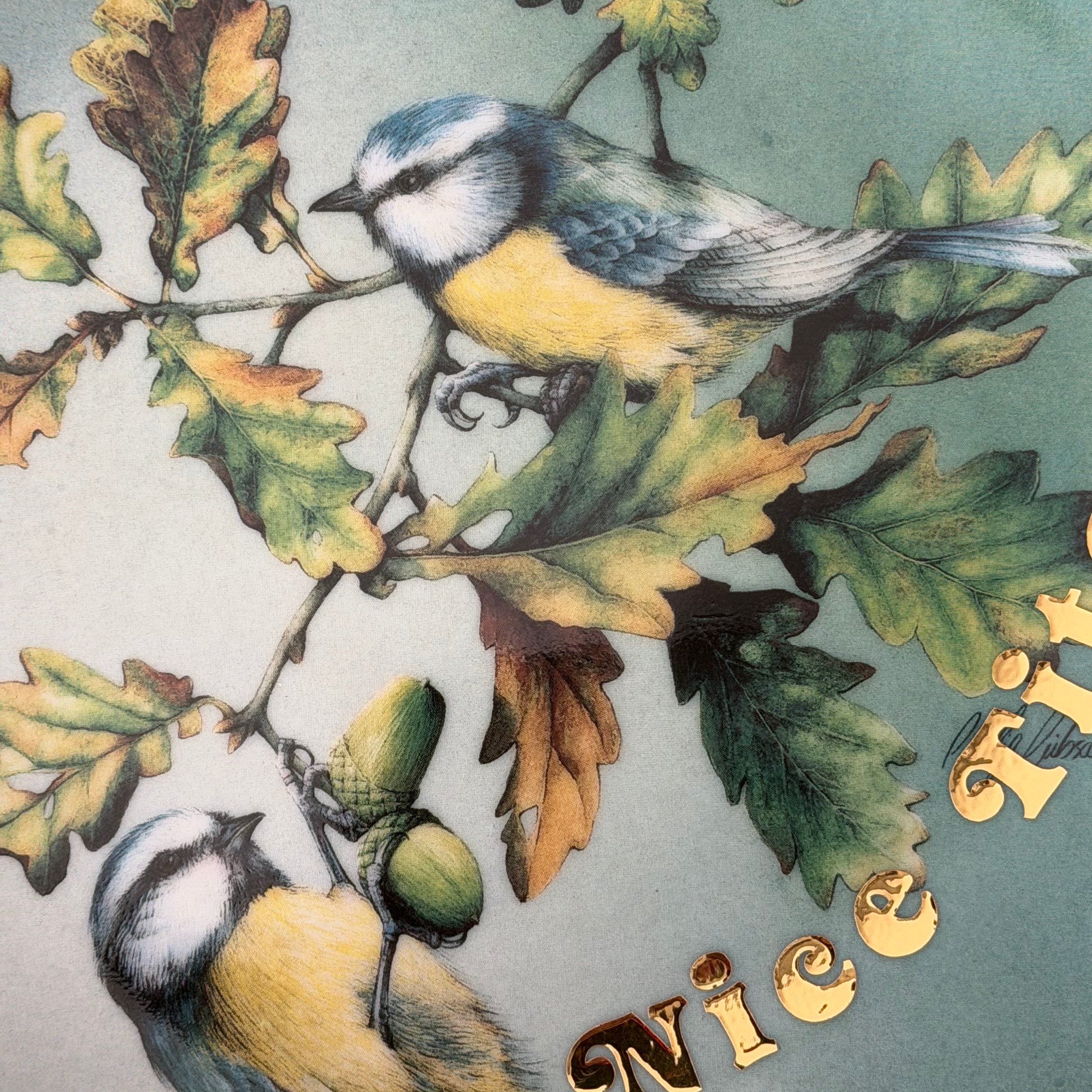 Nice Tits, Hand Decorated Vintage Porcelain Blue Tit Plate, Decorative Gift, Home Decor