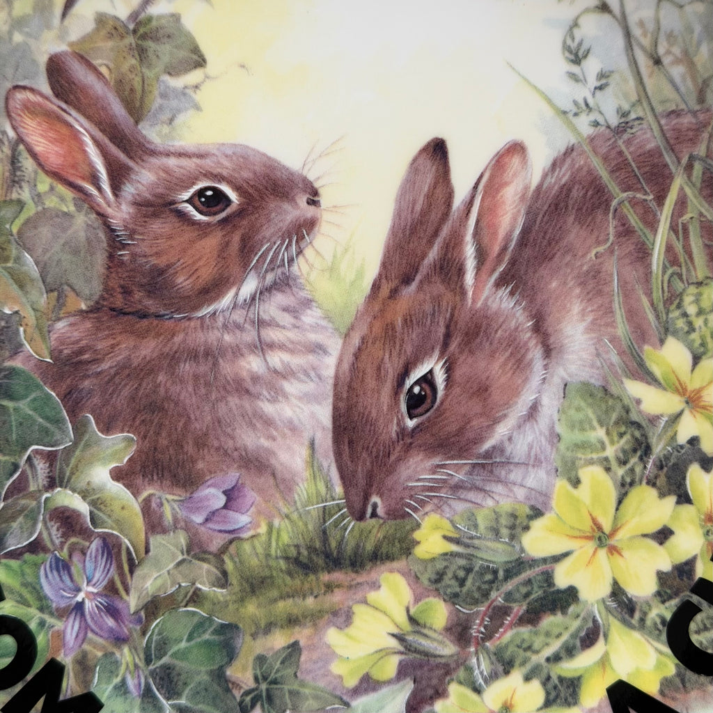 Some Bunny's A Cunt, Hand Decorated Bone China Blue Rabbit Plate, Decorative Gift, Home Decor