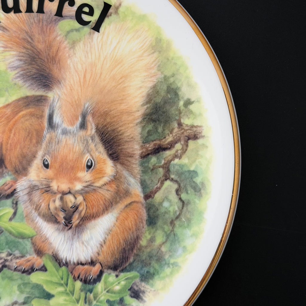 Lovely Bit Of Squirrel, Fine Bone China Wall Plaque, Funny Squirrel Gift, Nicholas John Decorative Plate