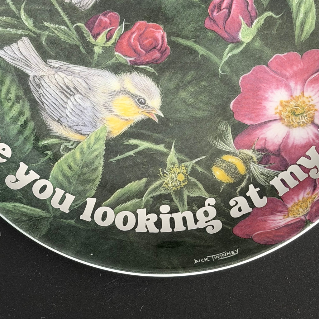 Vintage Wedgwood Blue Tits Plate, Are You Looking At My Tits? Cheeky Bird Plate