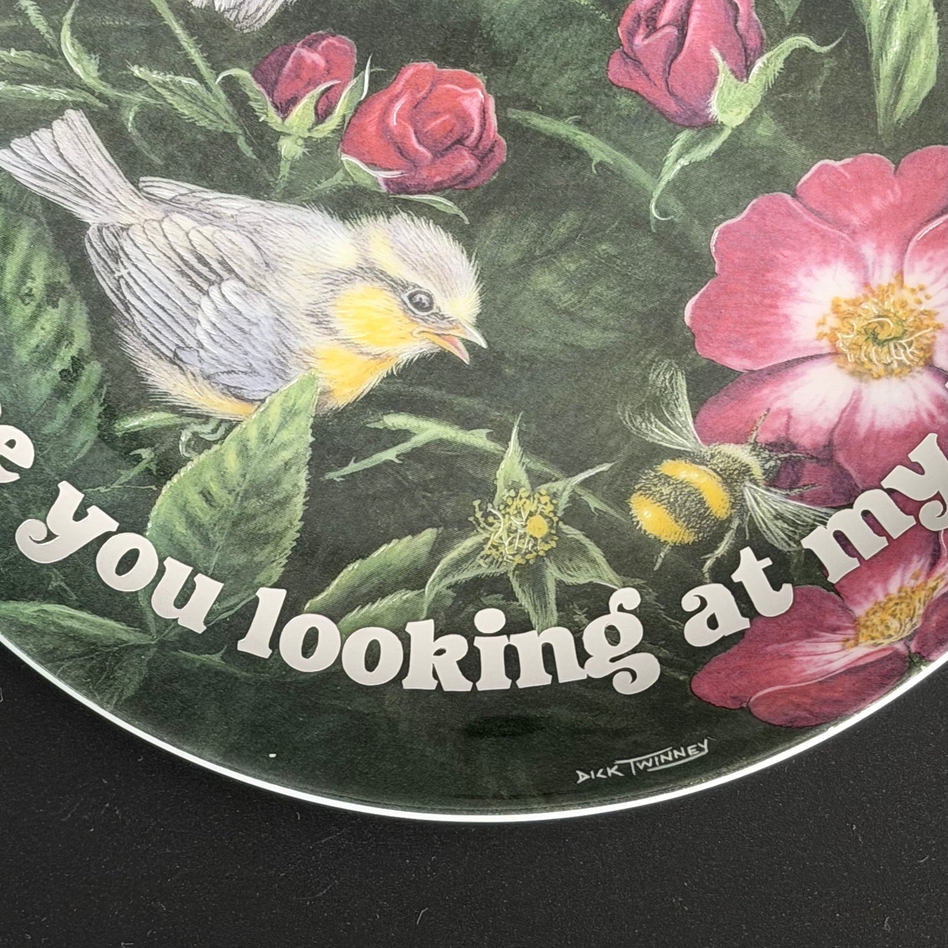 Vintage Wedgwood Blue Tits Plate, Are You Looking At My Tits? Cheeky Bird Plate