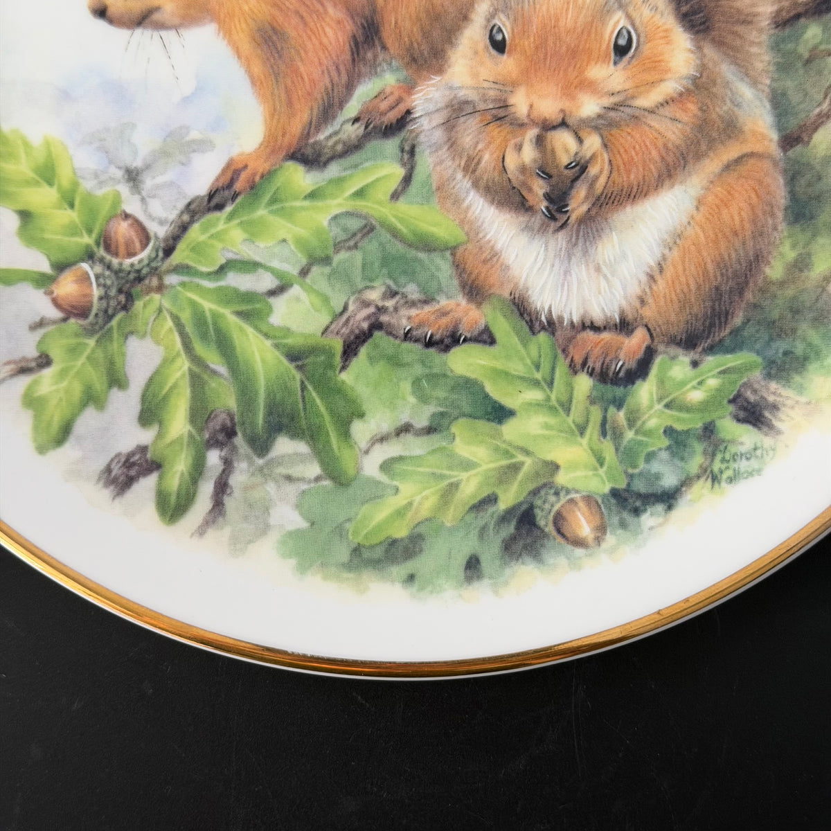 Lovely Bit Of Squirrel, Fine Bone China Wall Plaque, Funny Squirrel Gift, Nicholas John Decorative Plate