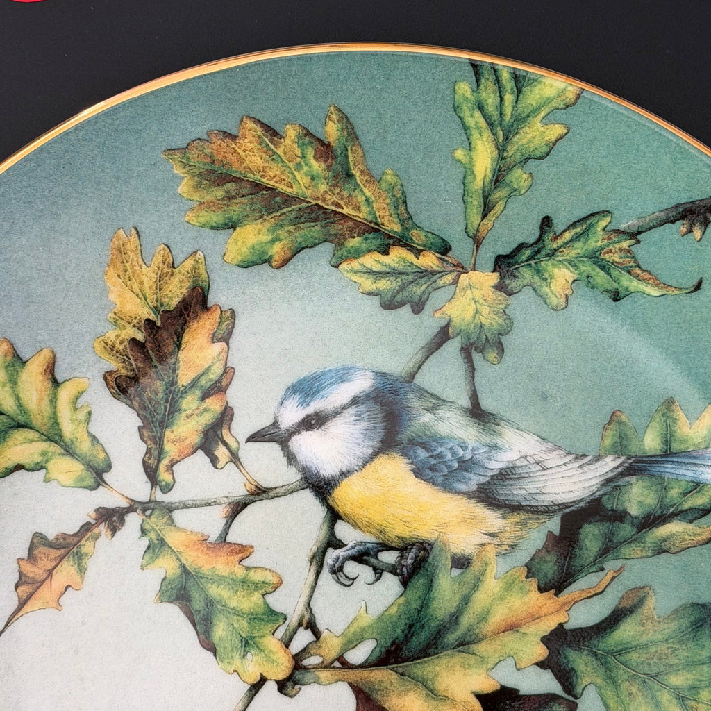 Nice Tits, Hand Decorated Vintage Porcelain Blue Tit Plate, Decorative Gift, Home Decor