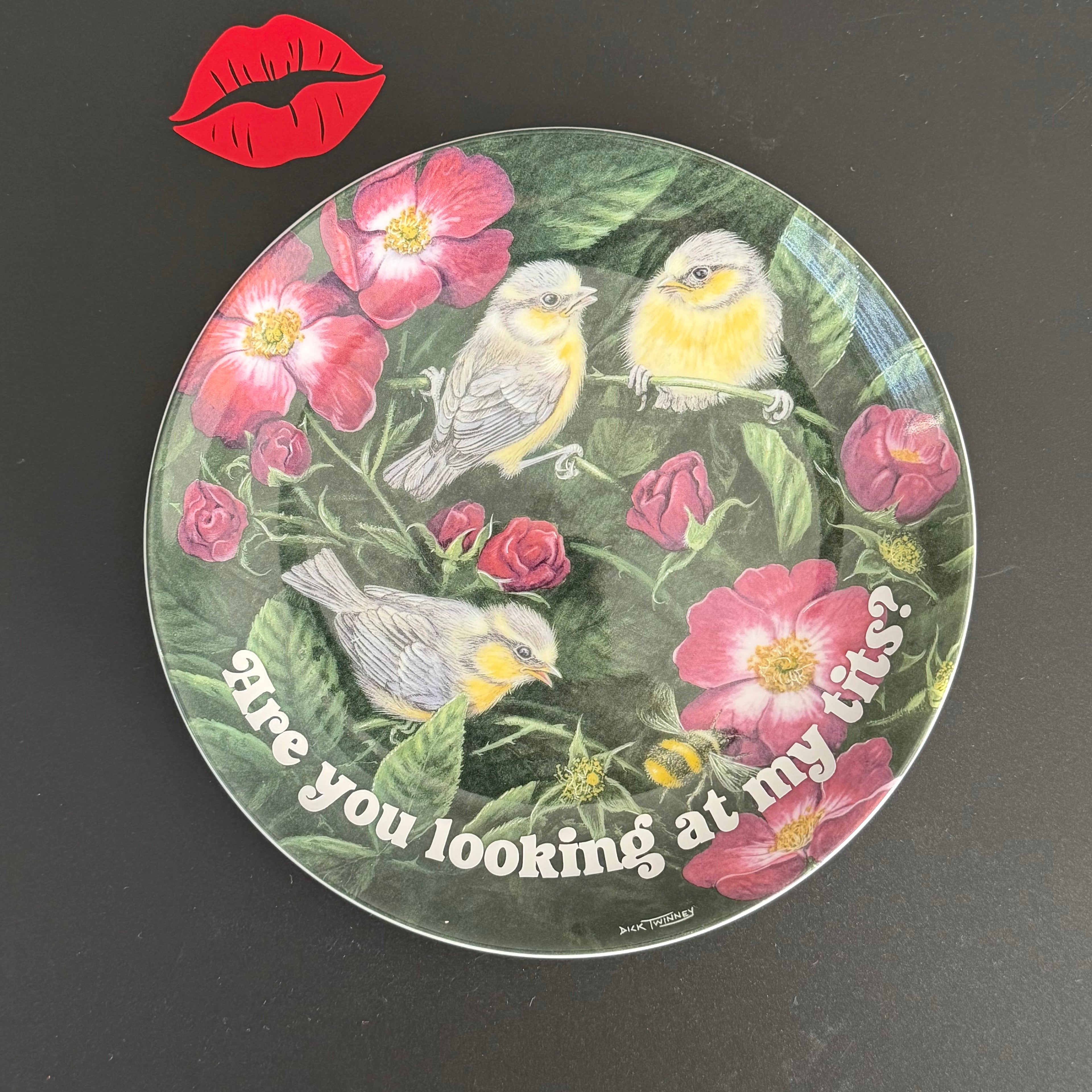 Vintage Wedgwood Blue Tits Plate, Are You Looking At My Tits? Cheeky Bird Plate