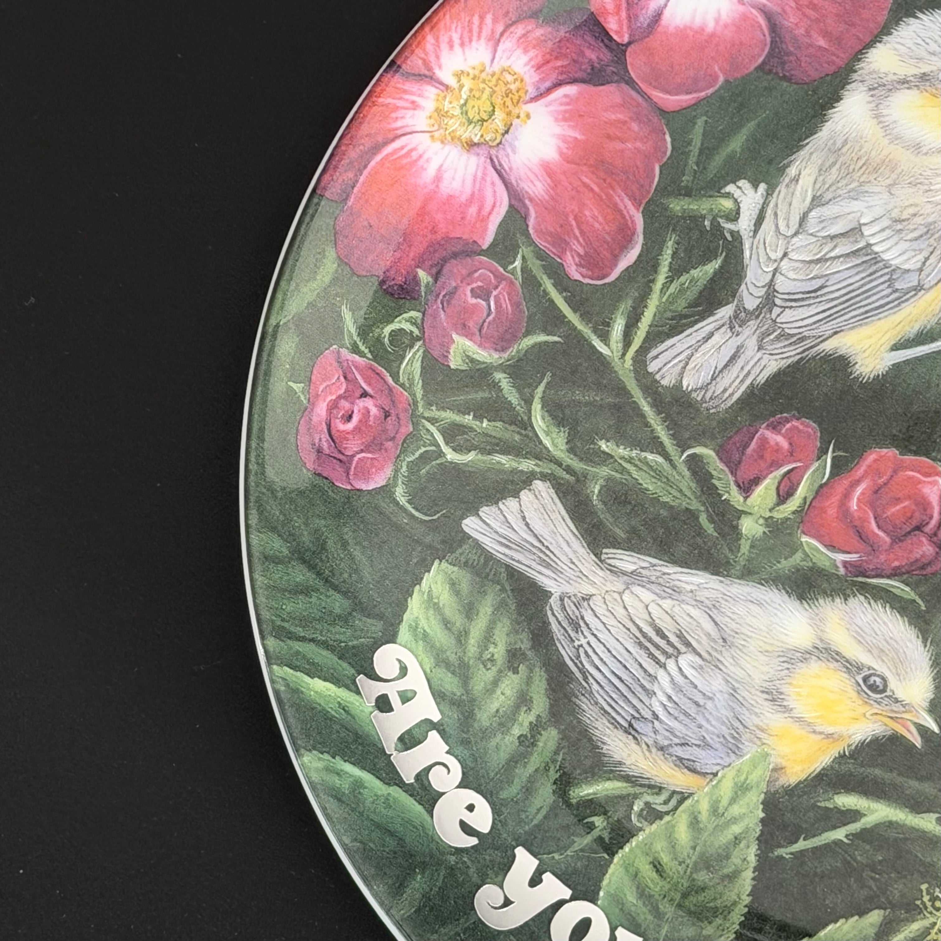 Vintage Wedgwood Blue Tits Plate, Are You Looking At My Tits? Cheeky Bird Plate