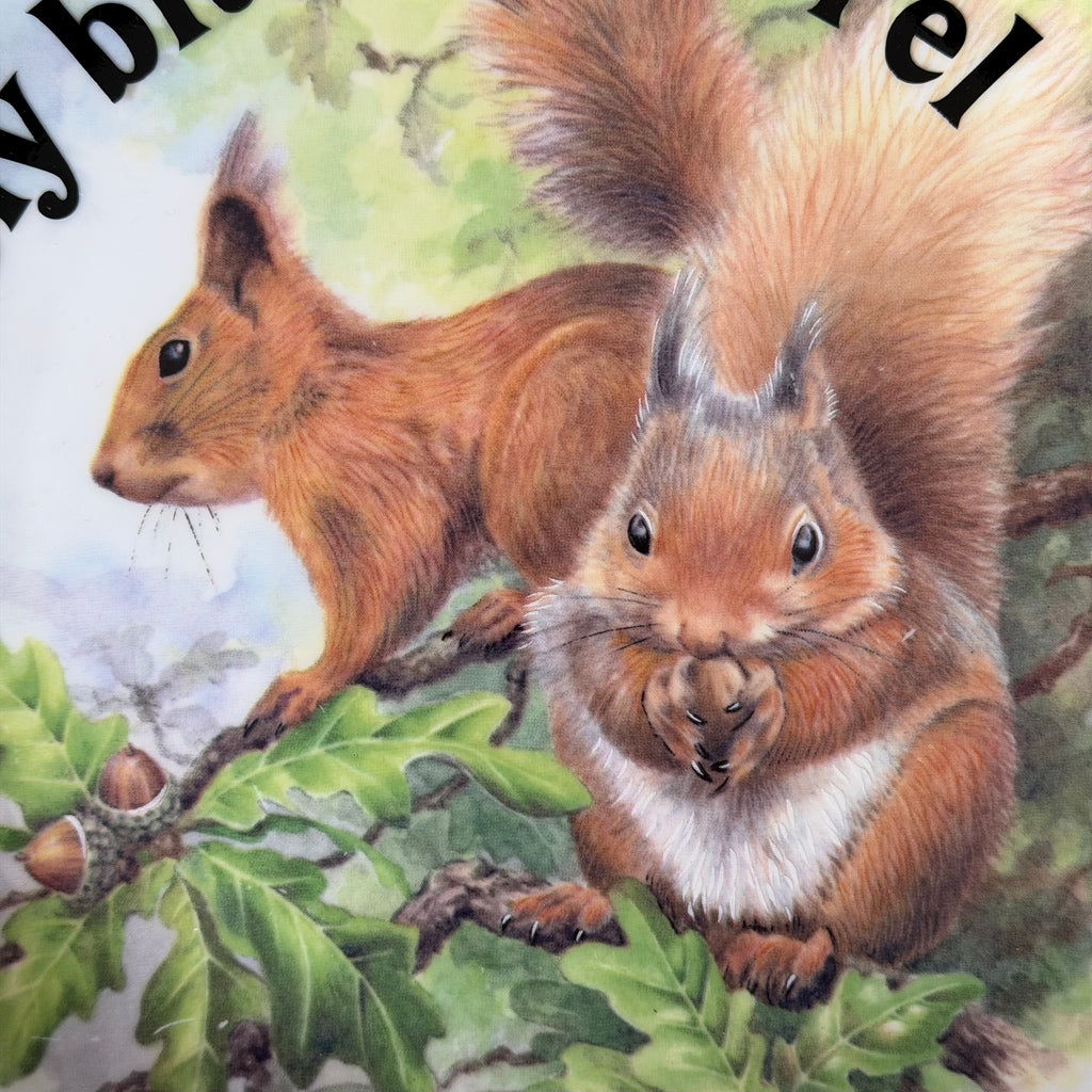 Lovely Bit Of Squirrel, Fine Bone China Wall Plaque, Funny Squirrel Gift, Nicholas John Decorative Plate