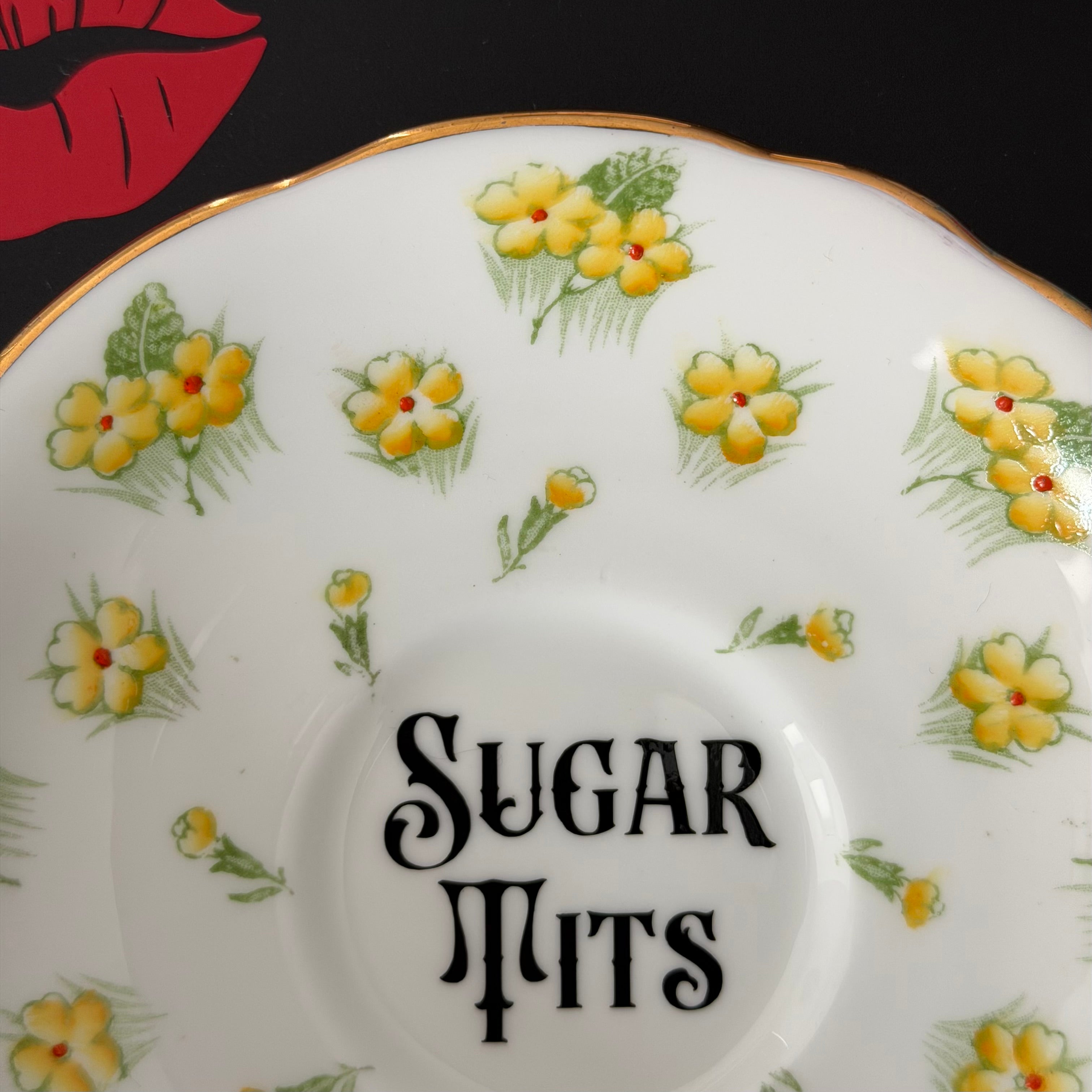 Vintage Bone China Plate, Sugar Tits, Black Vinyl, Floral Plate